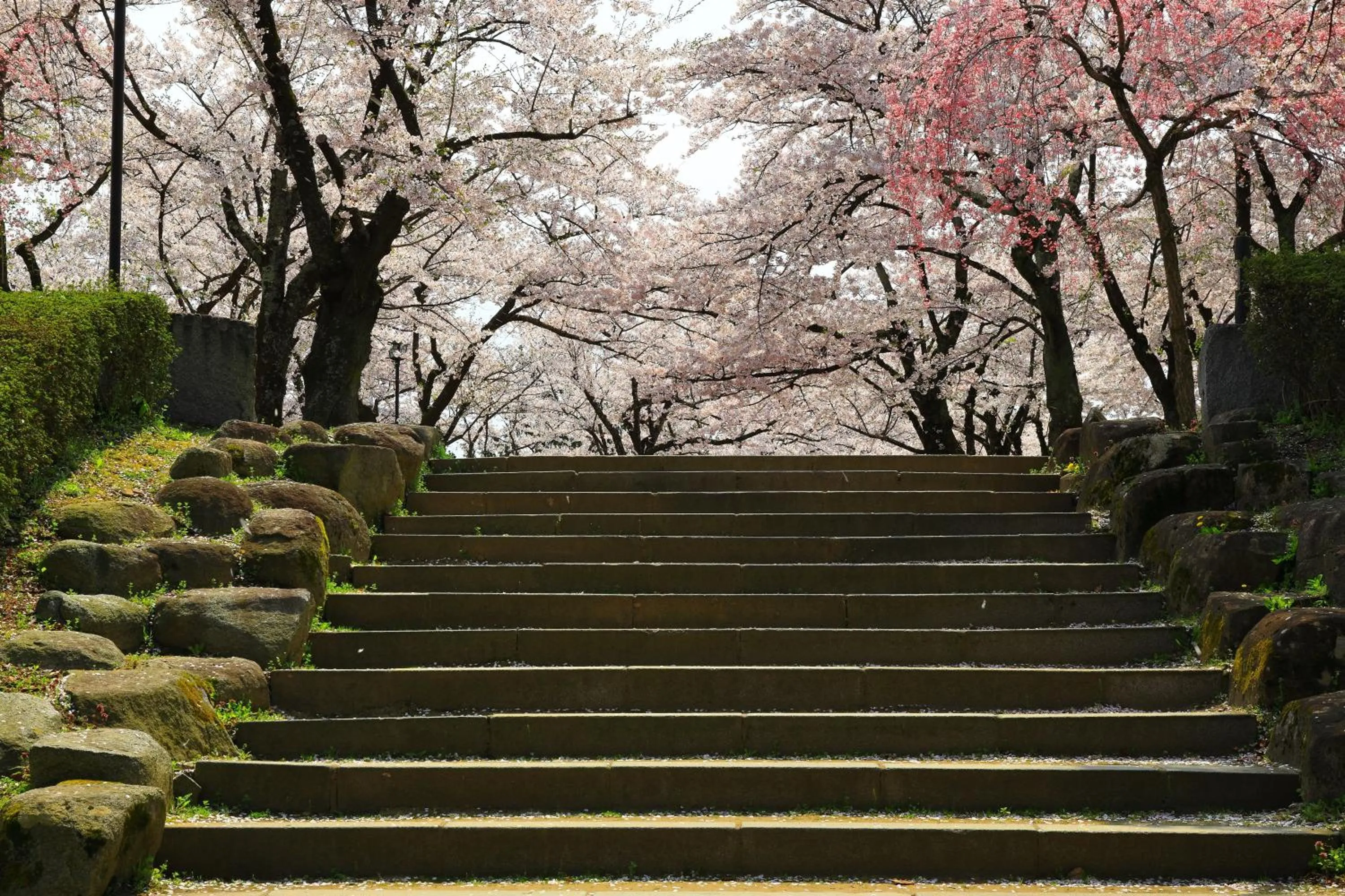 Nearby landmark in Four Points Flex by Sheraton Morioka