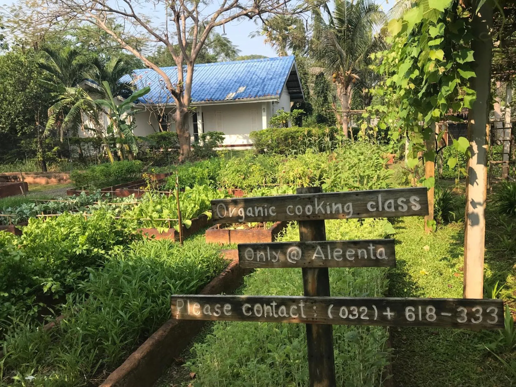 Activities in Aleenta Resort and Spa, Hua Hin - Pranburi SHA Plus