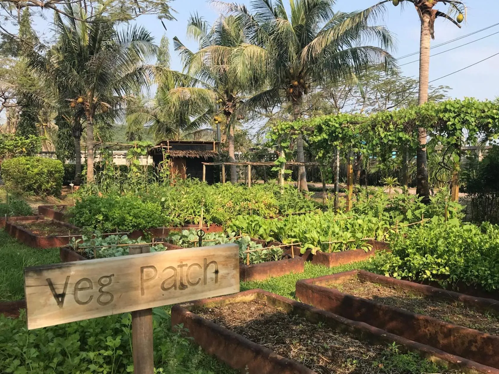 Activities in Aleenta Resort and Spa, Hua Hin - Pranburi SHA Plus