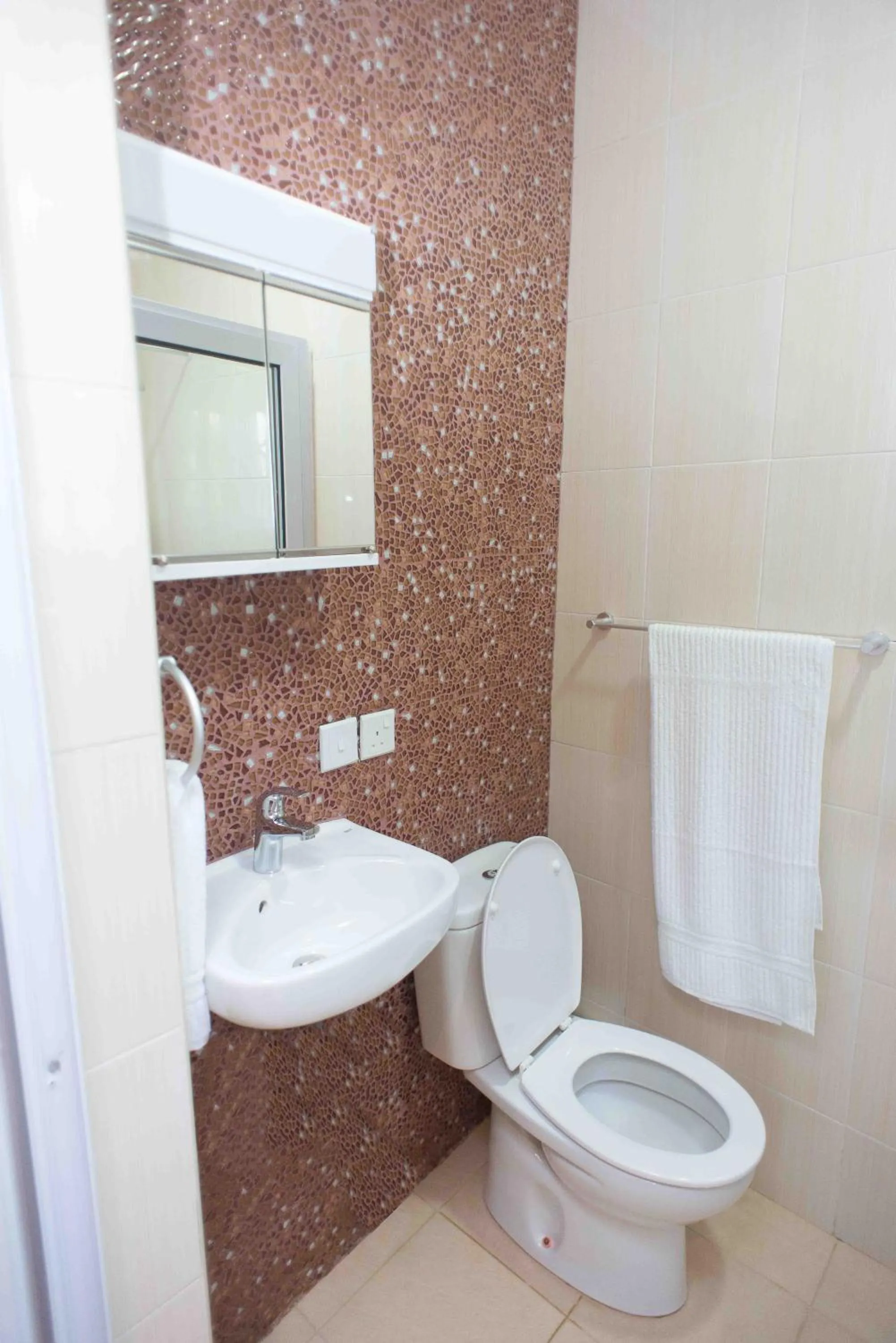 Bathroom in The Ritzz Exclusive Guest House