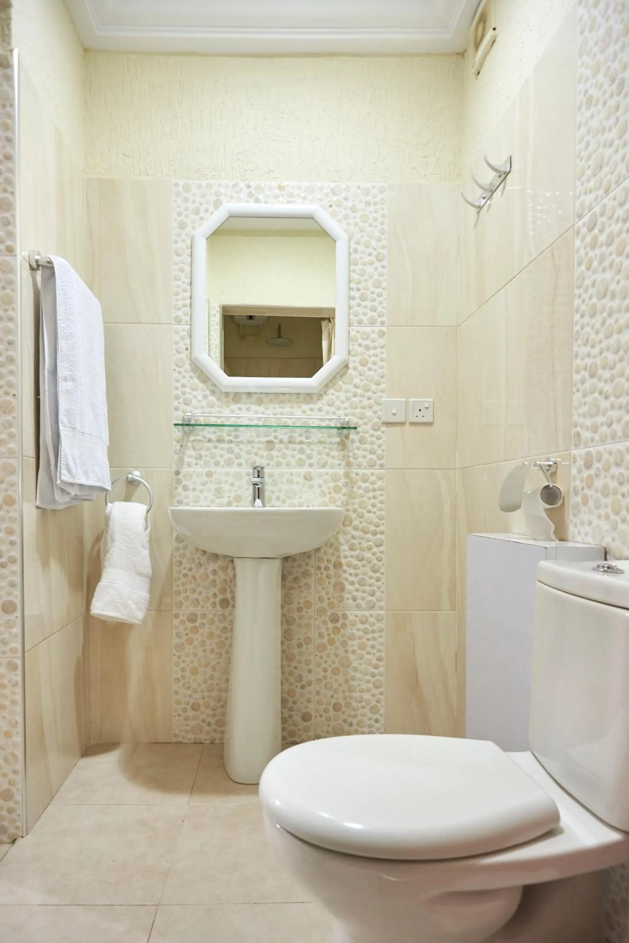 Bathroom in The Ritzz Exclusive Guest House