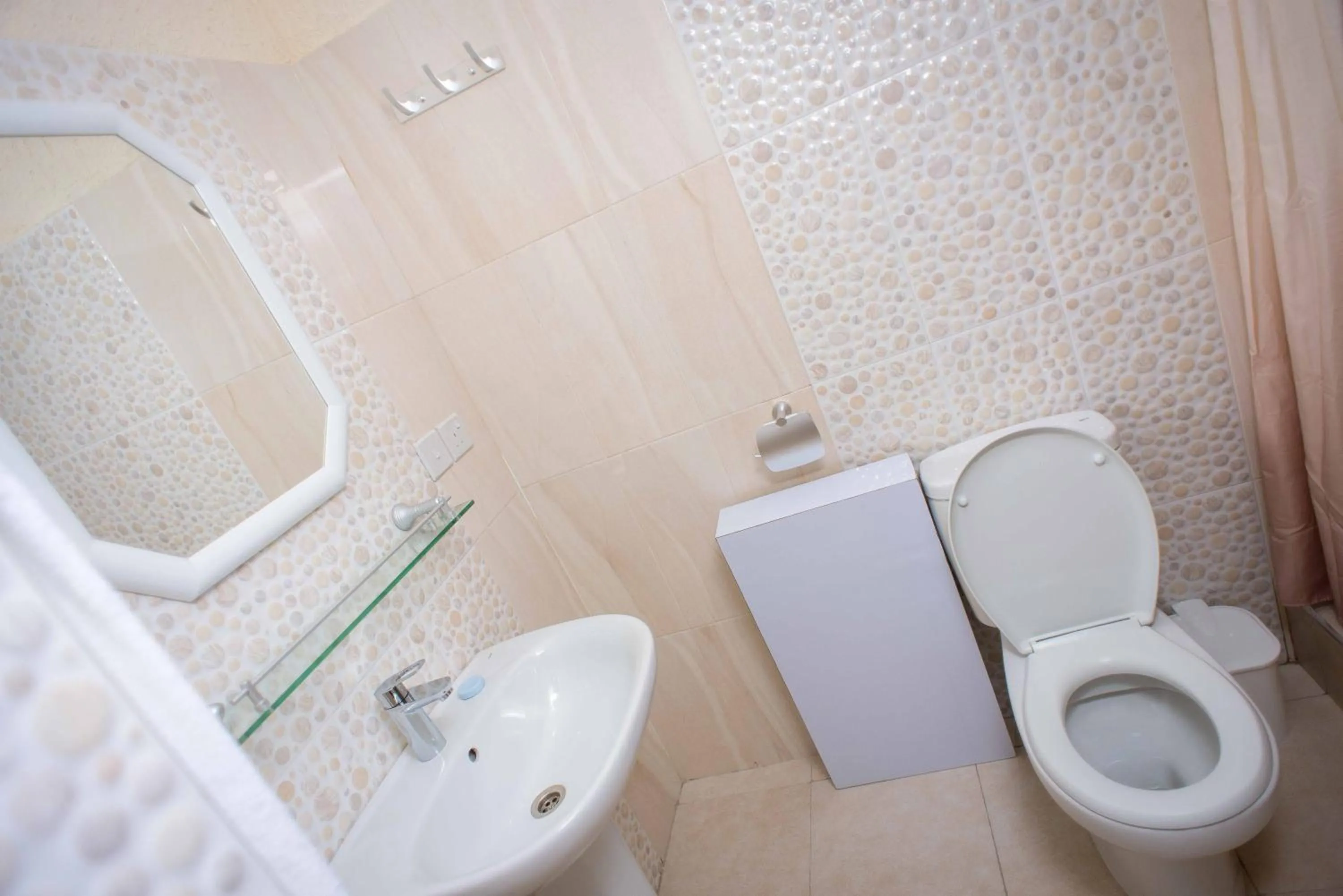 Bathroom in The Ritzz Exclusive Guest House
