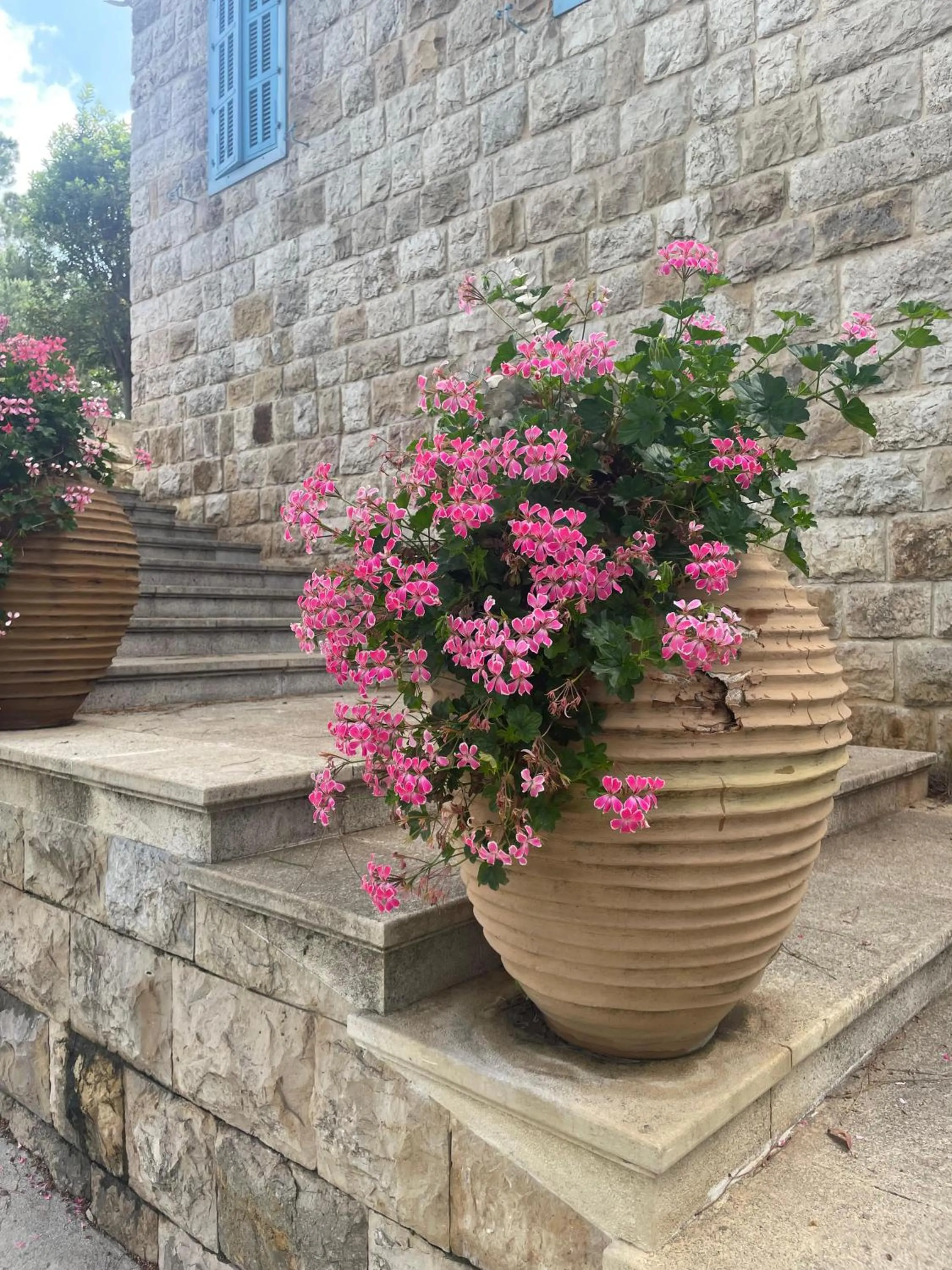 Garden in Hotel Al Bustan
