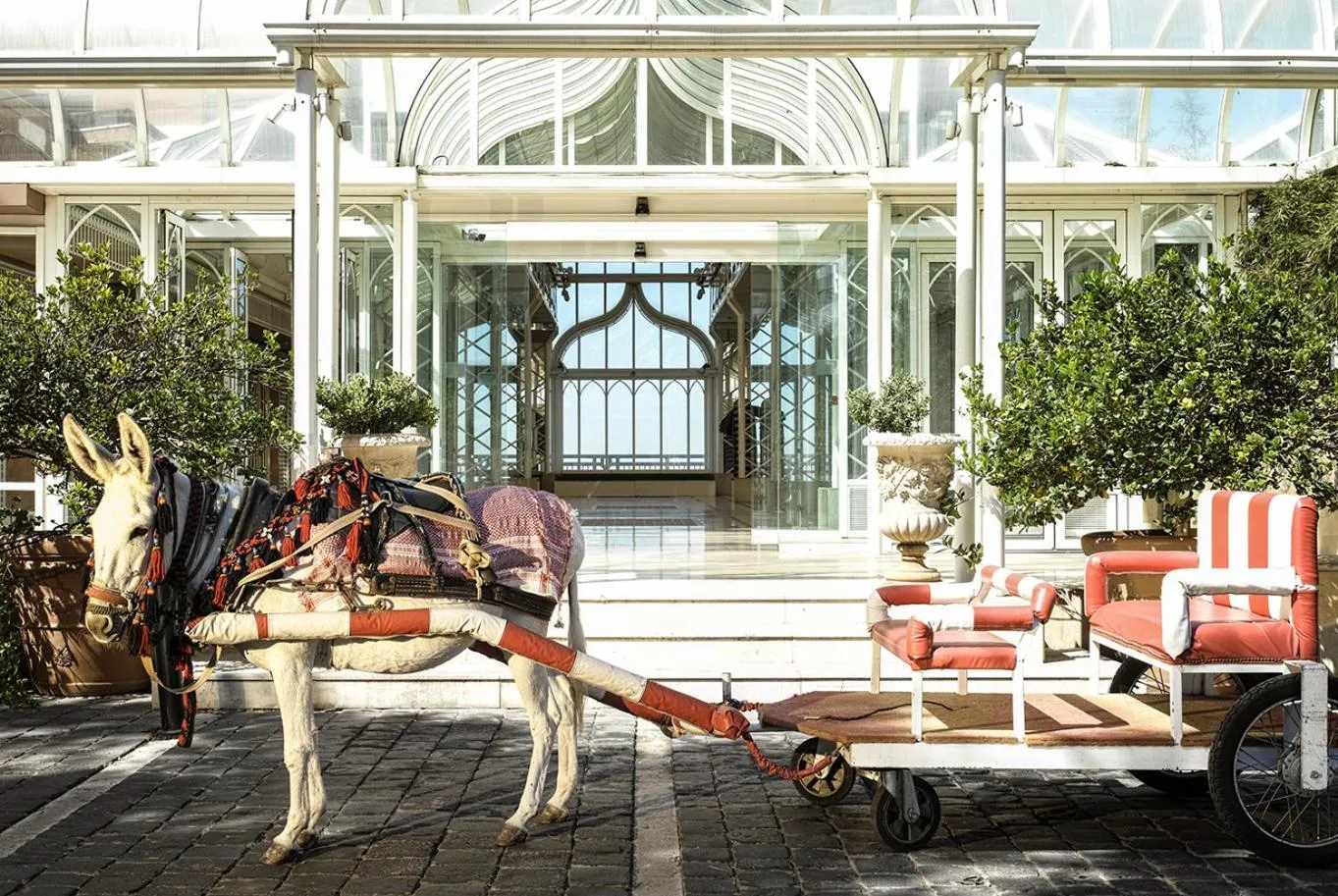 Garden in Hotel Al Bustan