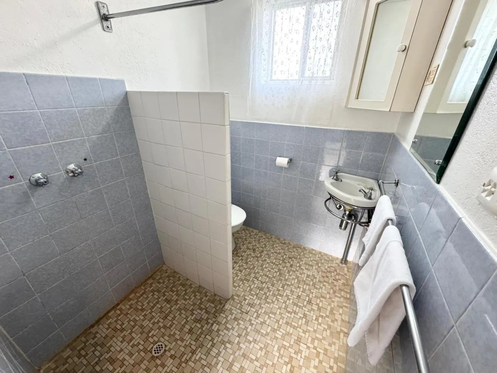 Toilet in Barossa Palms Motel