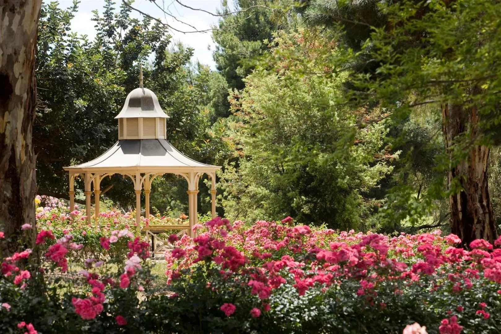 Spring in The Lyndoch Motel