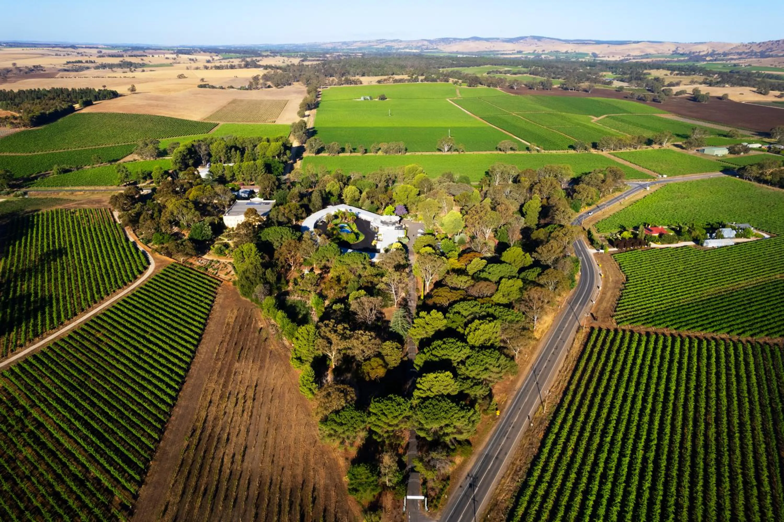 Bird's eye view in The Lyndoch Motel