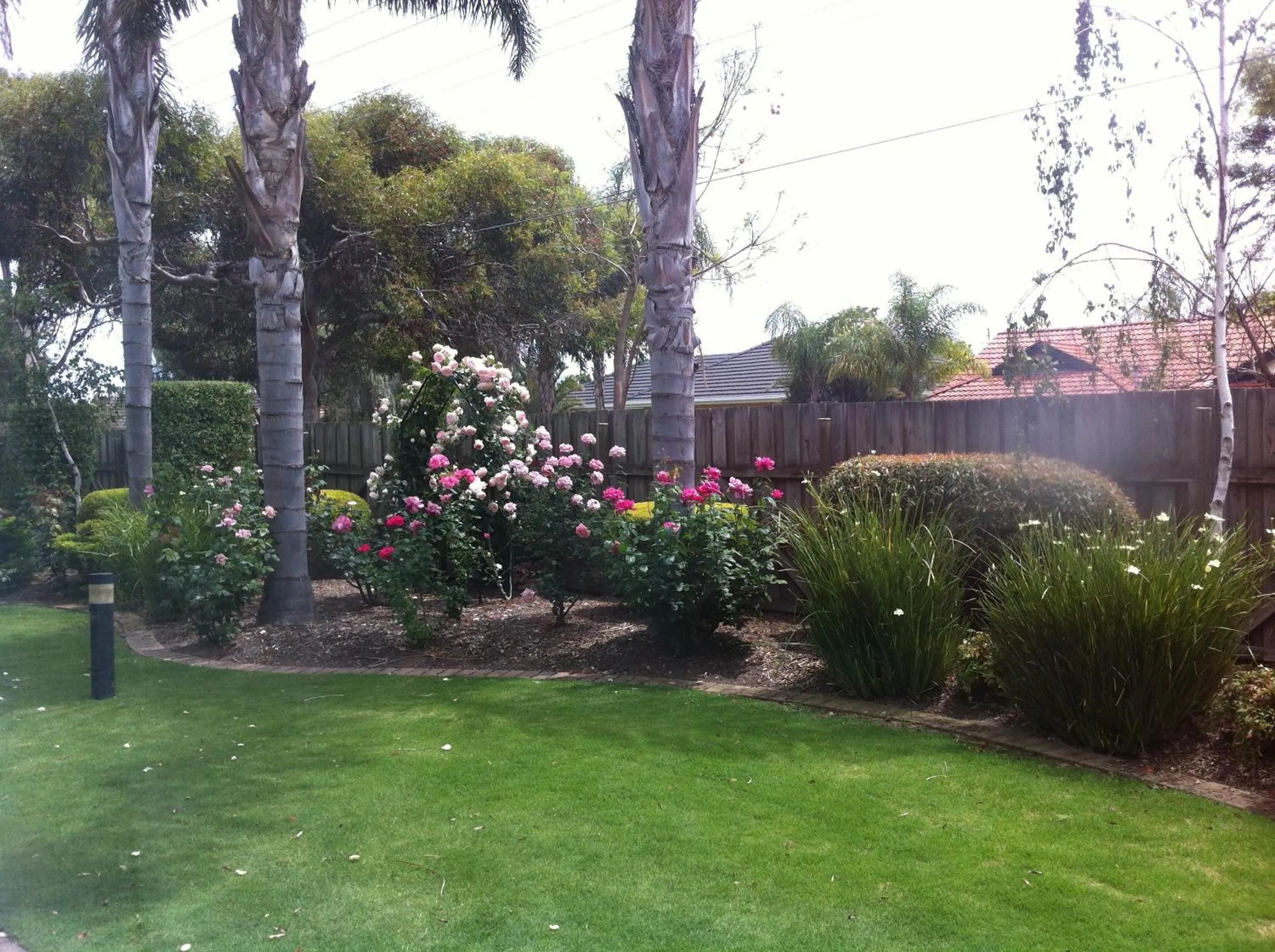 Day in Marion Motel and Apartments