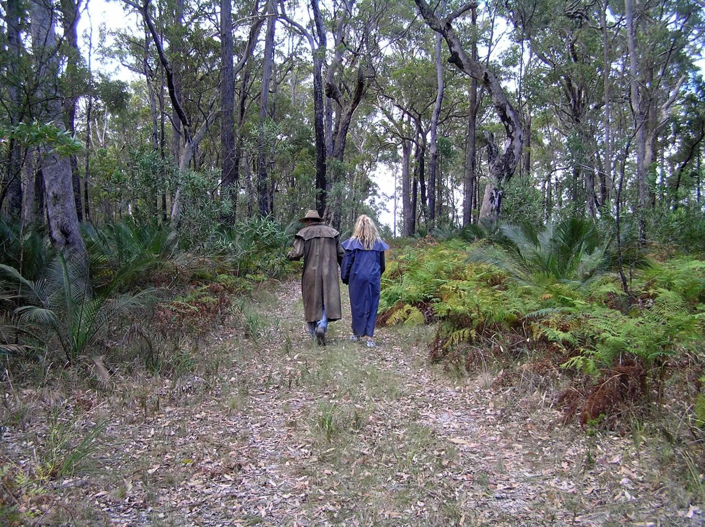 Garden in The Bower At Broulee