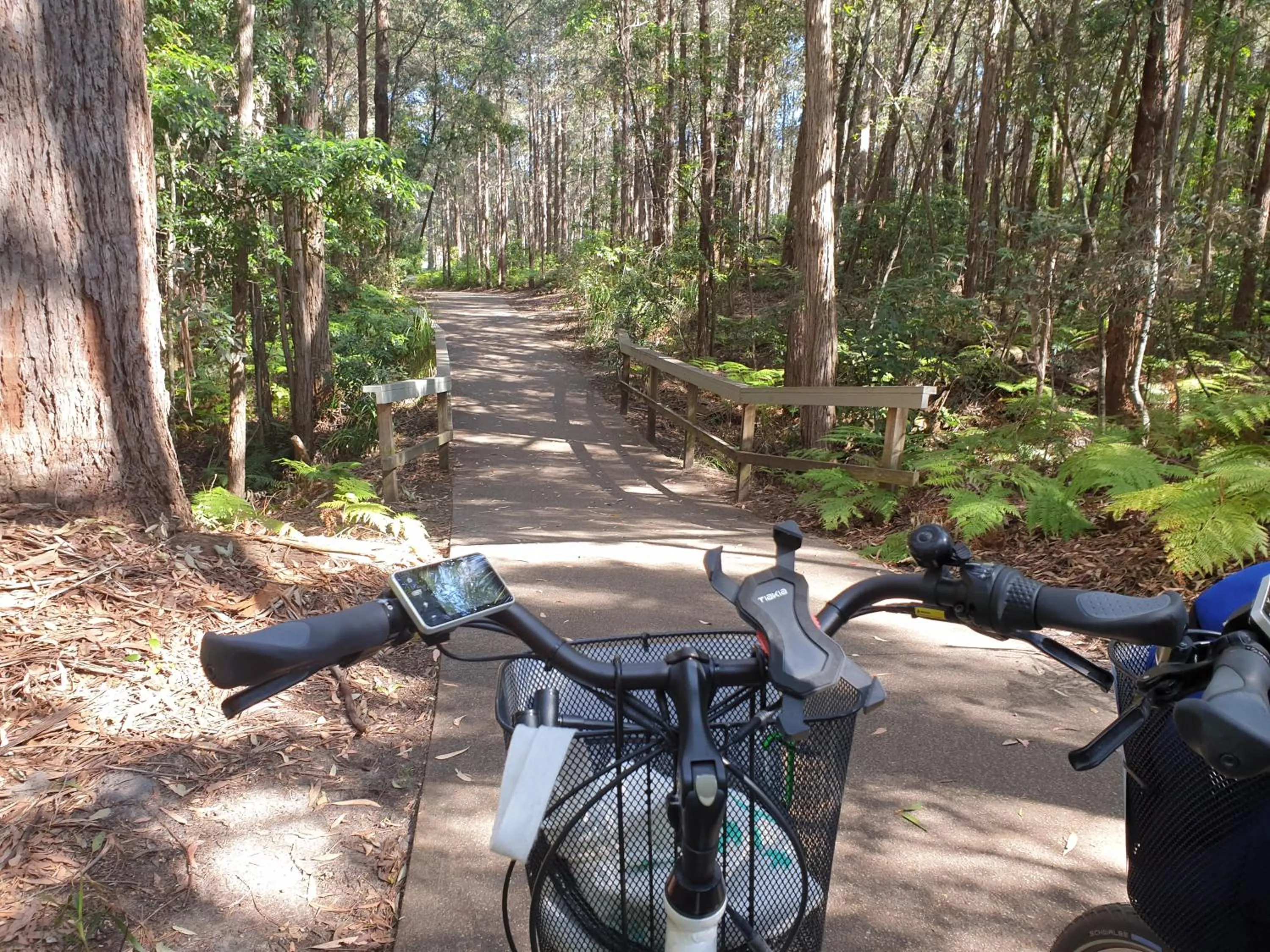 Activities in Sandpiper Motel Ulladulla