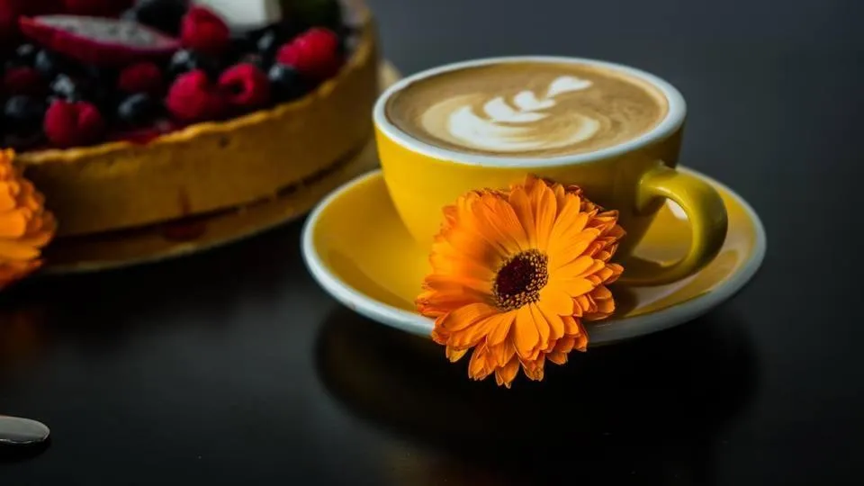 Restaurant/places to eat in AeroCafe