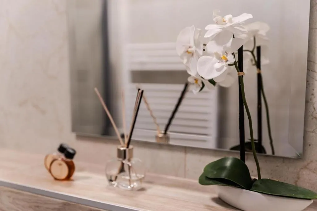 Bathroom in AeroCafe