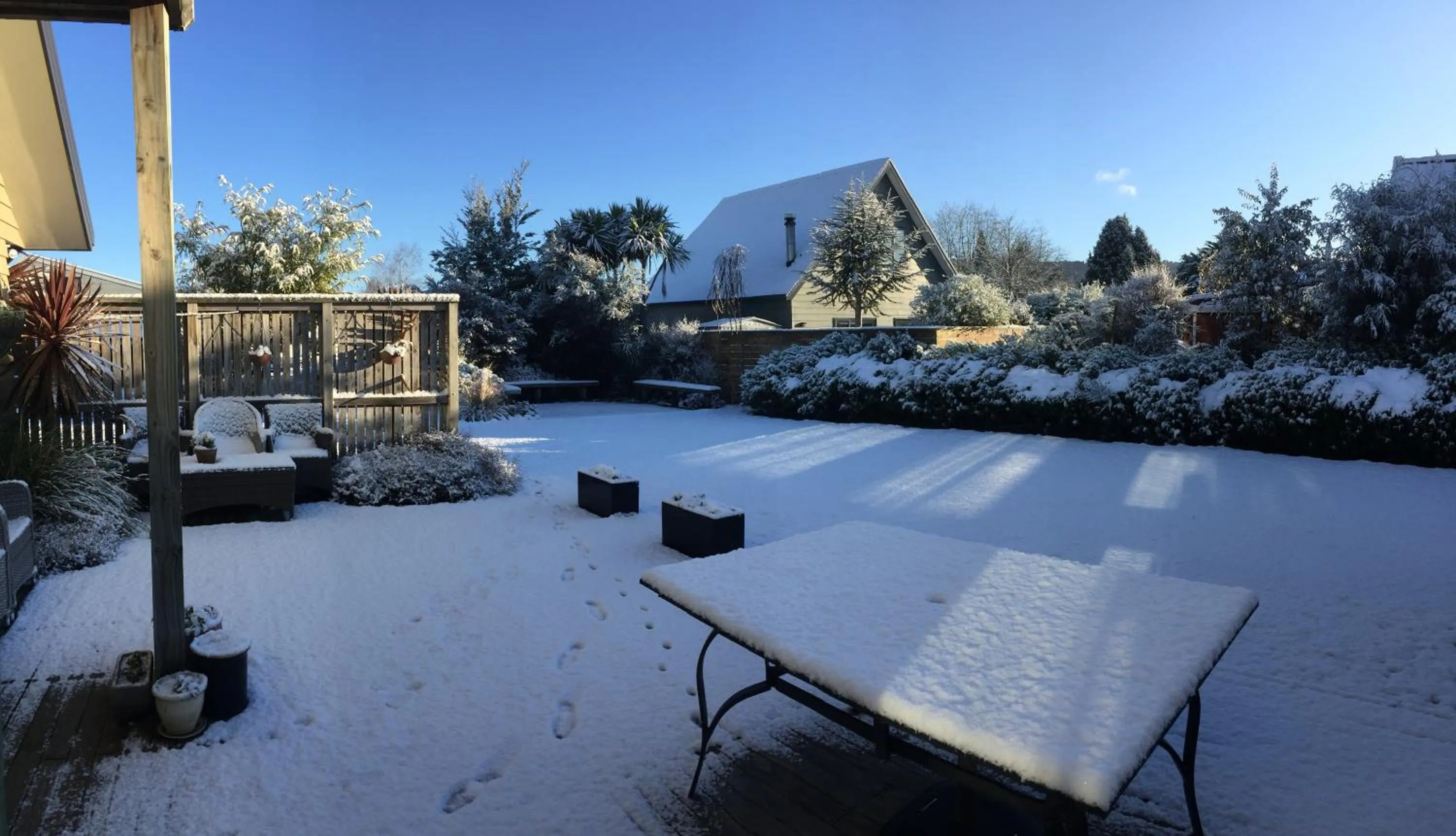 Patio in Manuka Lodge B&B