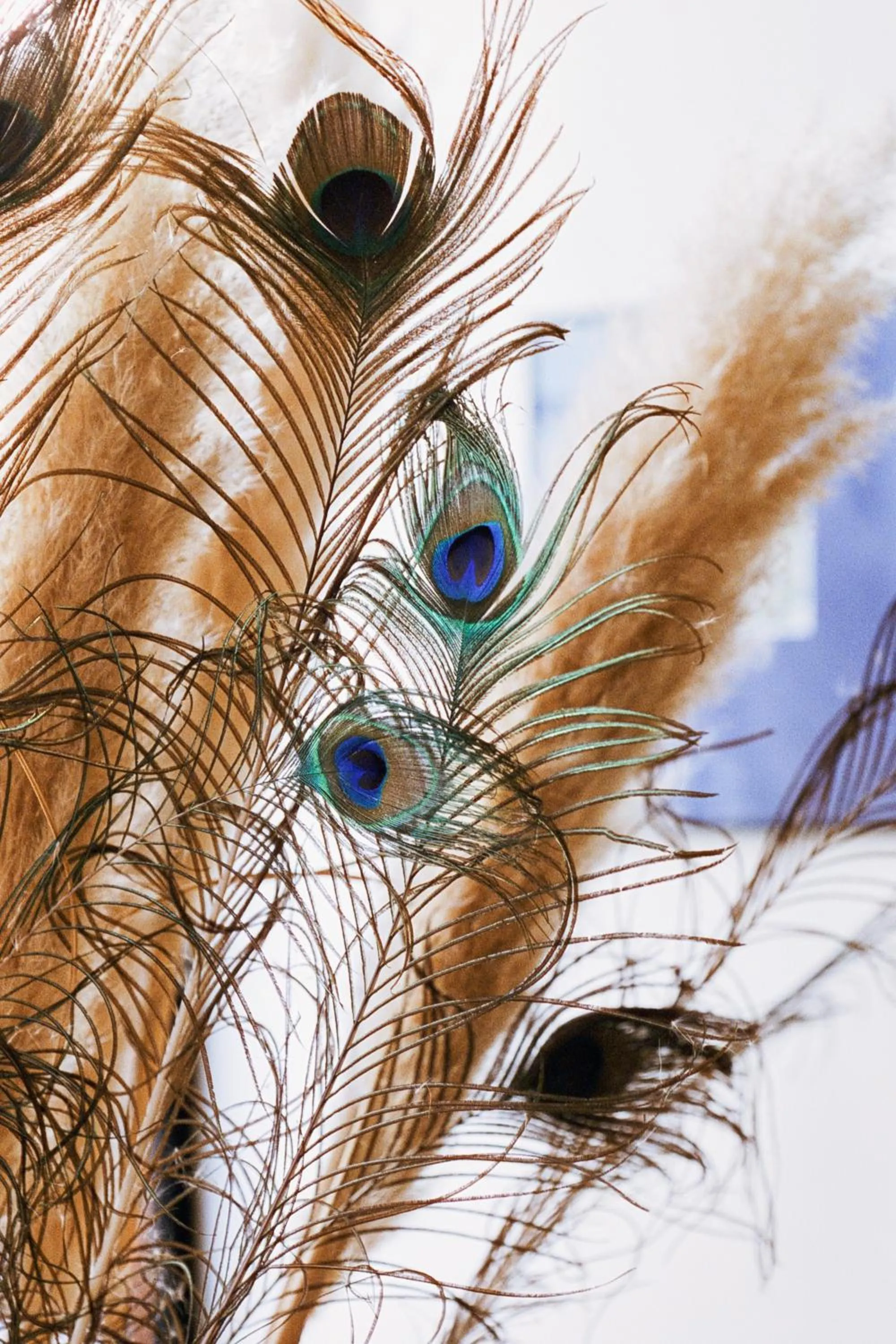 Property building in Hotel Habituel