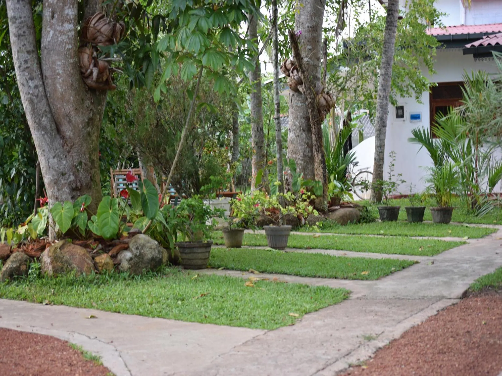 Garden in Star Holiday Resort