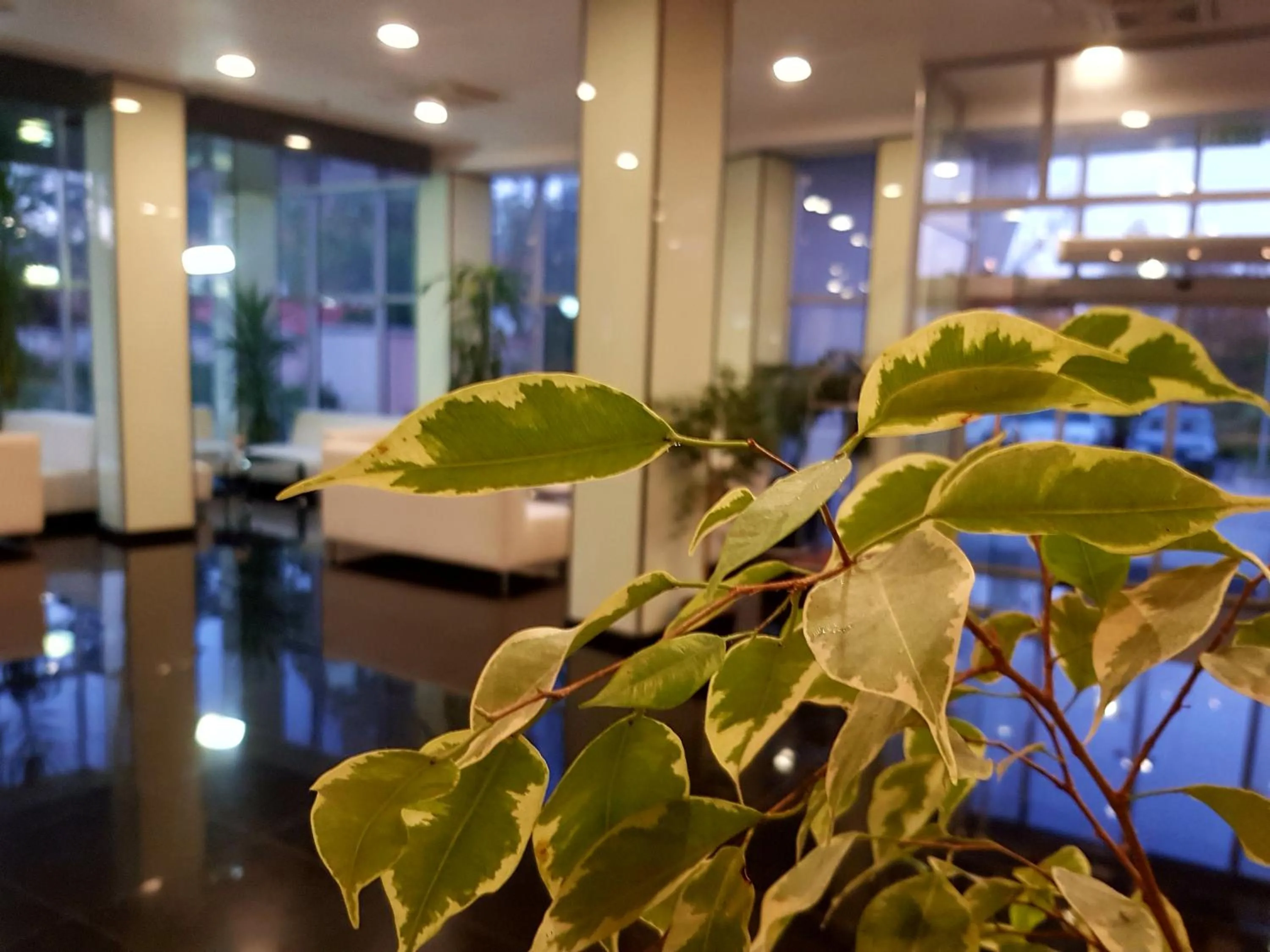 Lobby or reception in Spa Hotel Ata