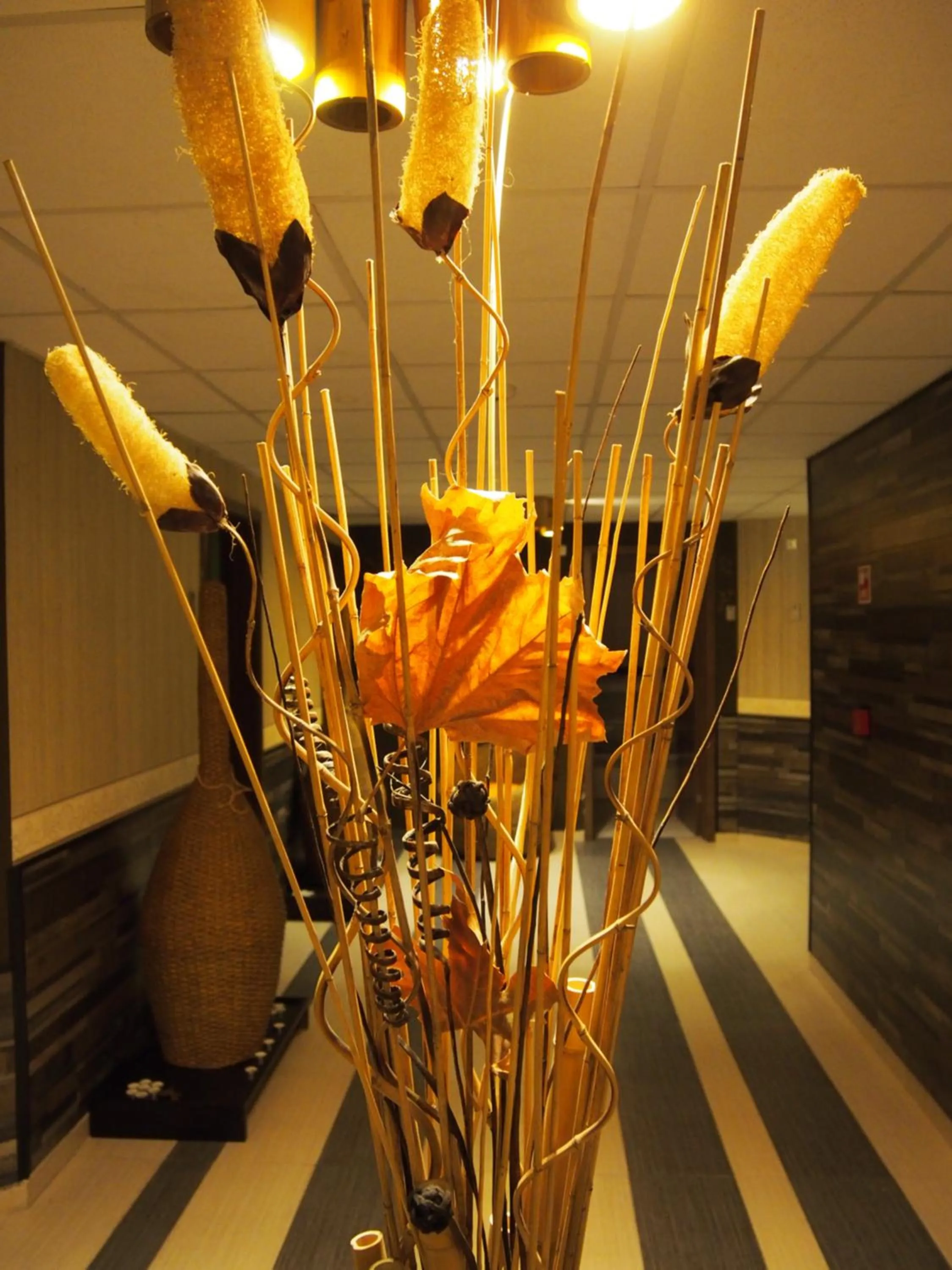 Spa and wellness centre/facilities in Spa Hotel Ata