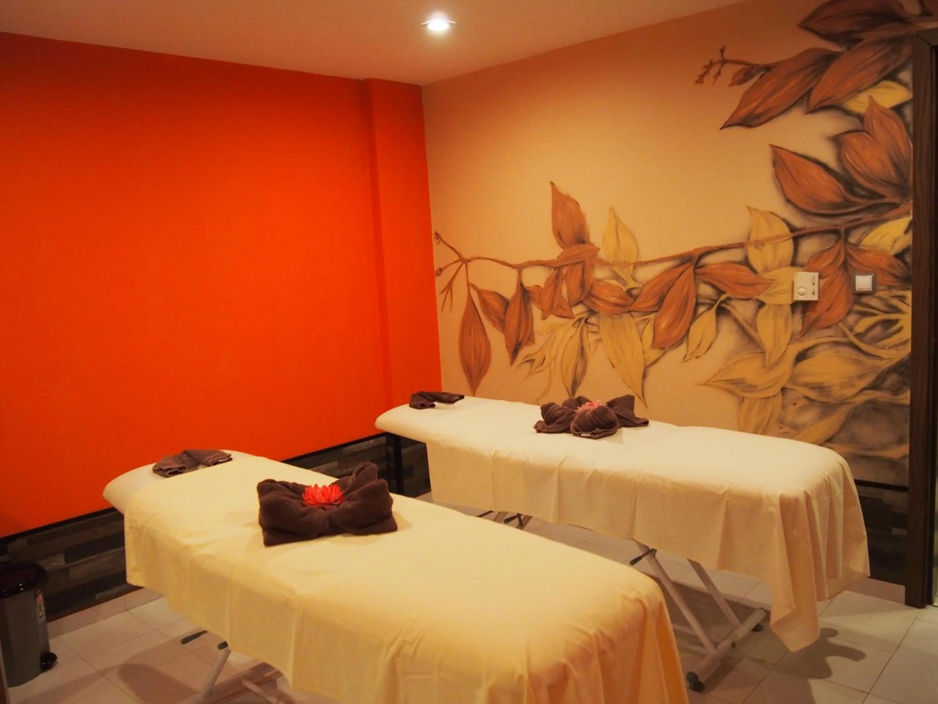 Spa and wellness centre/facilities in Spa Hotel Ata