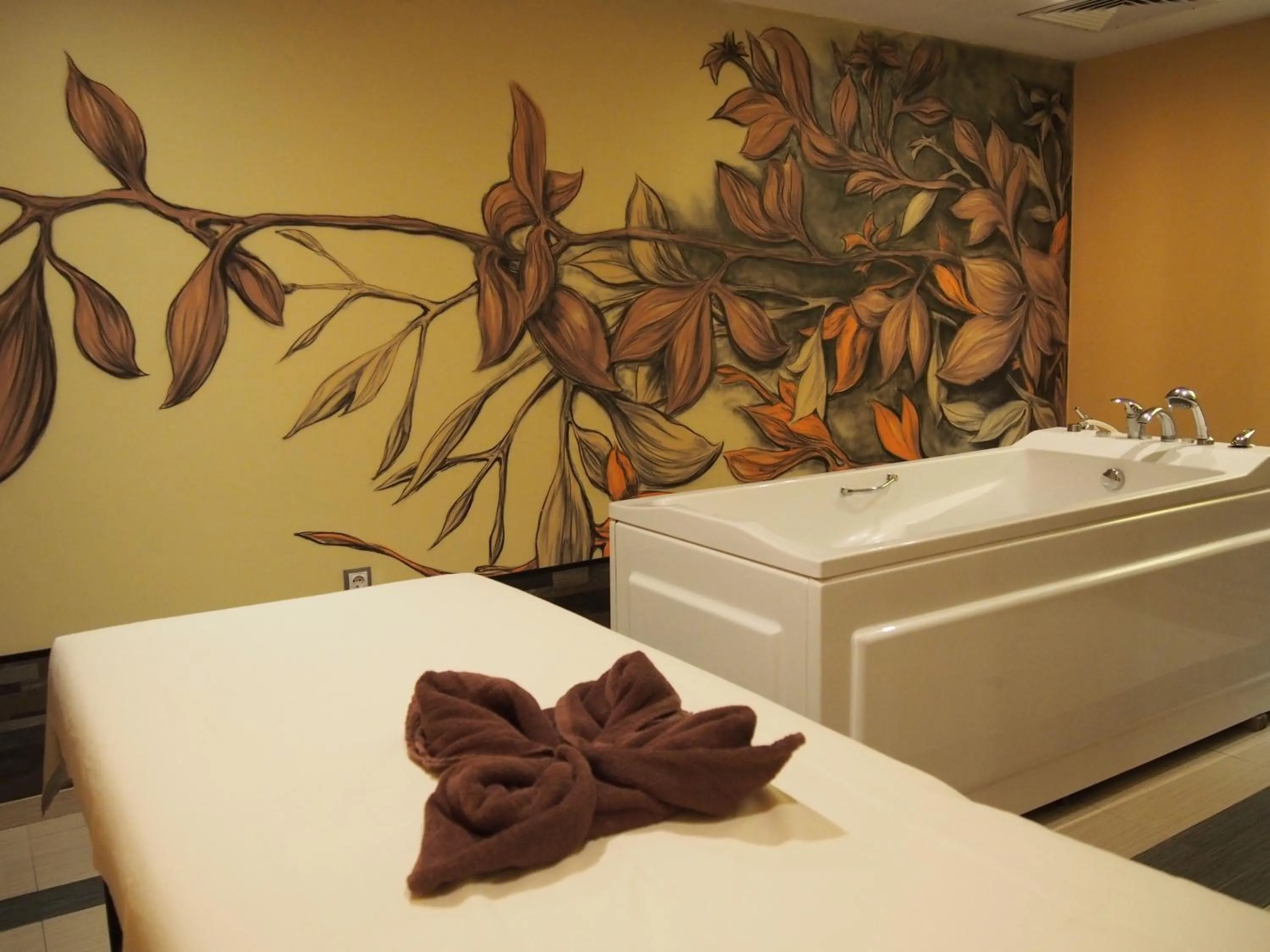 Spa and wellness centre/facilities in Spa Hotel Ata