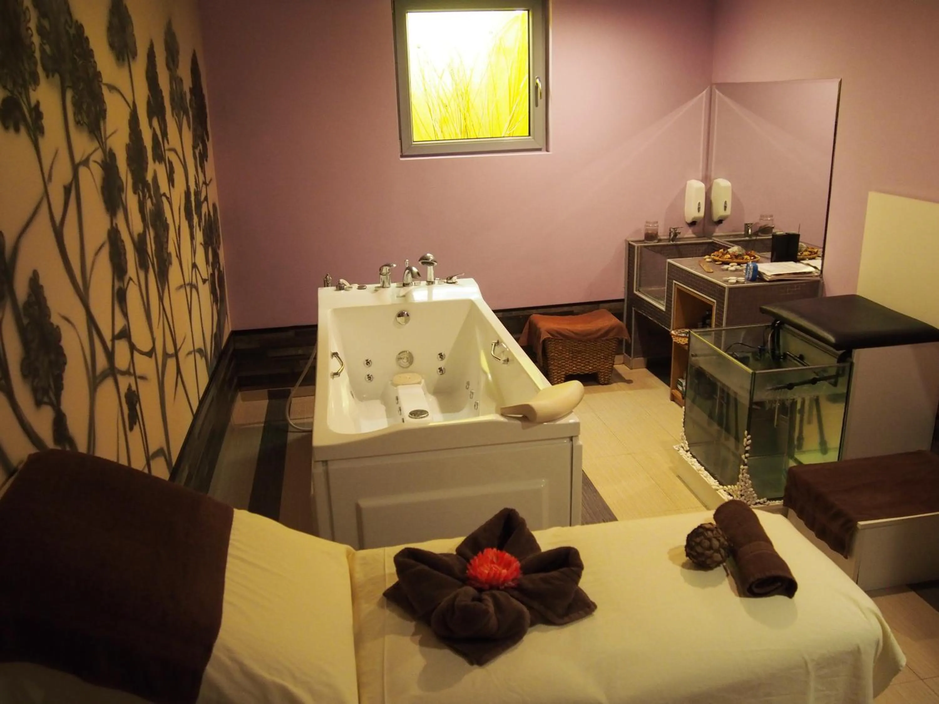 Spa and wellness centre/facilities in Spa Hotel Ata