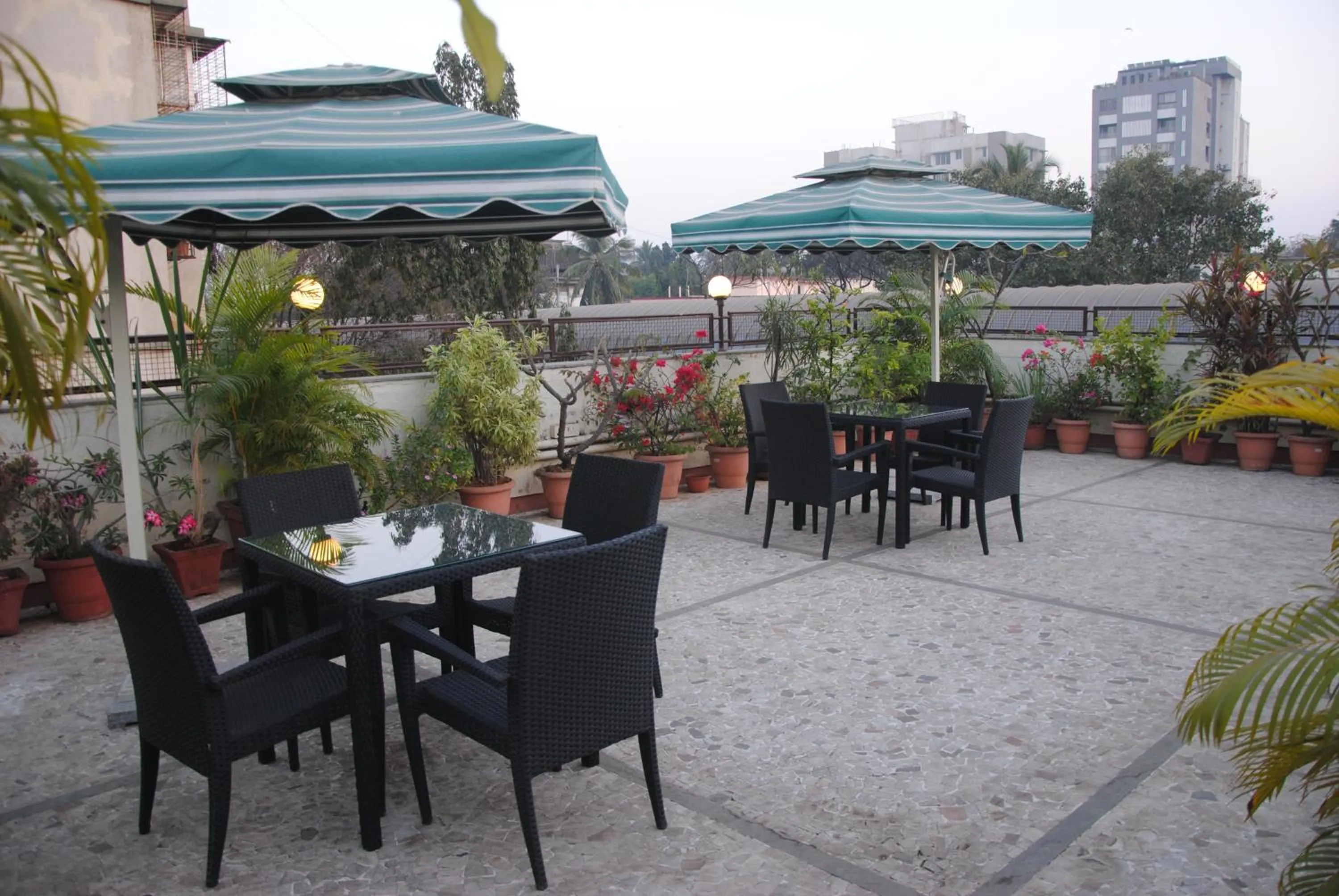 Garden in Hotel Midland