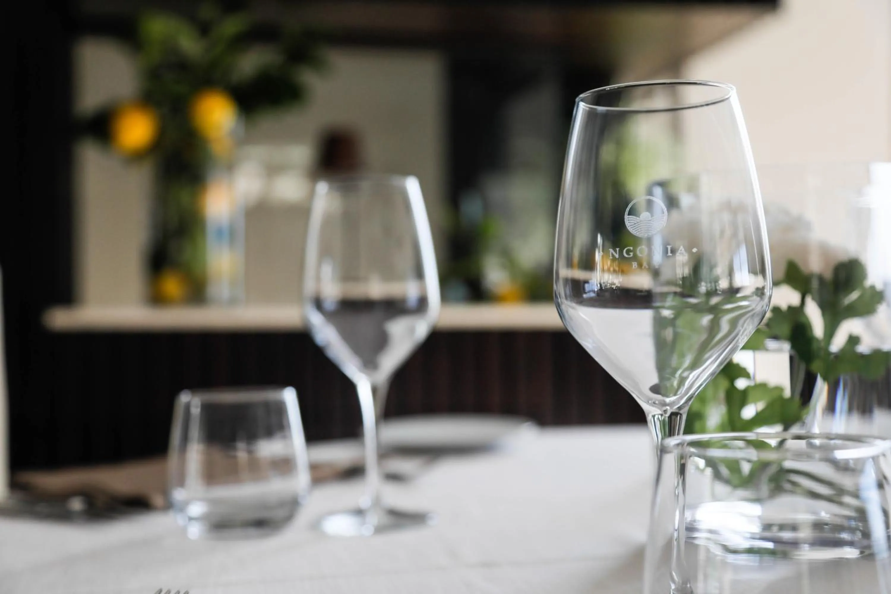 Ngonia Bay Boutique Hotel