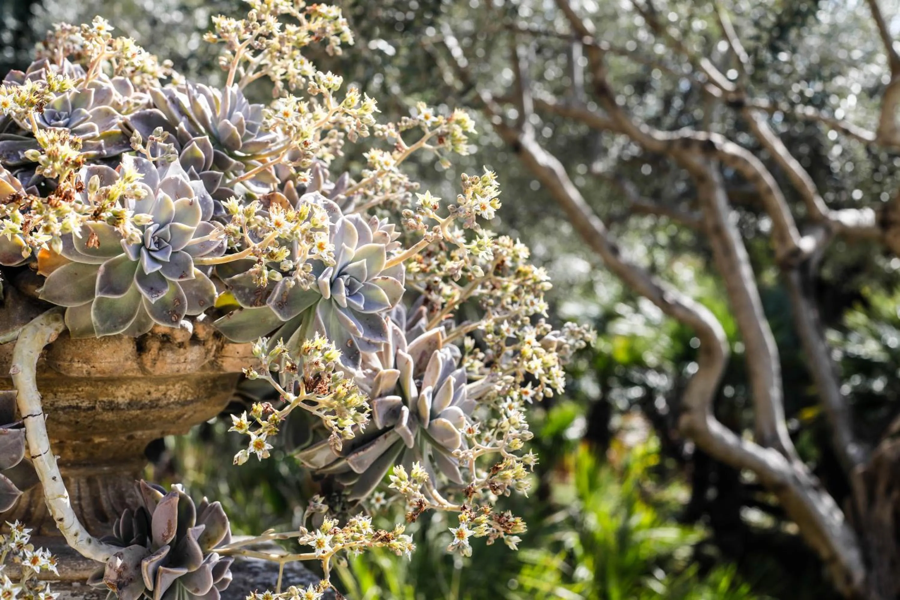 Ngonia Bay Boutique Hotel