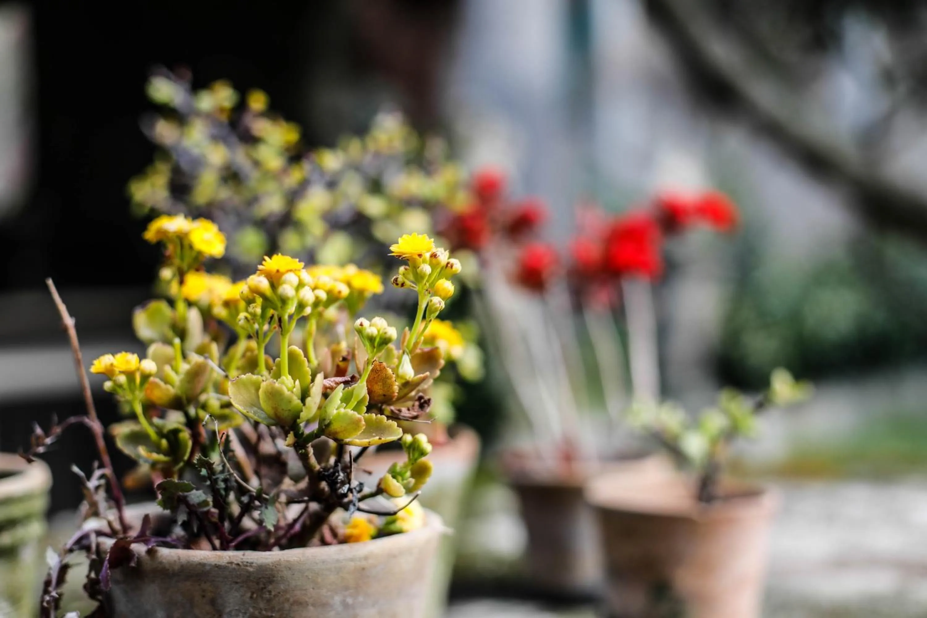 Ngonia Bay Boutique Hotel