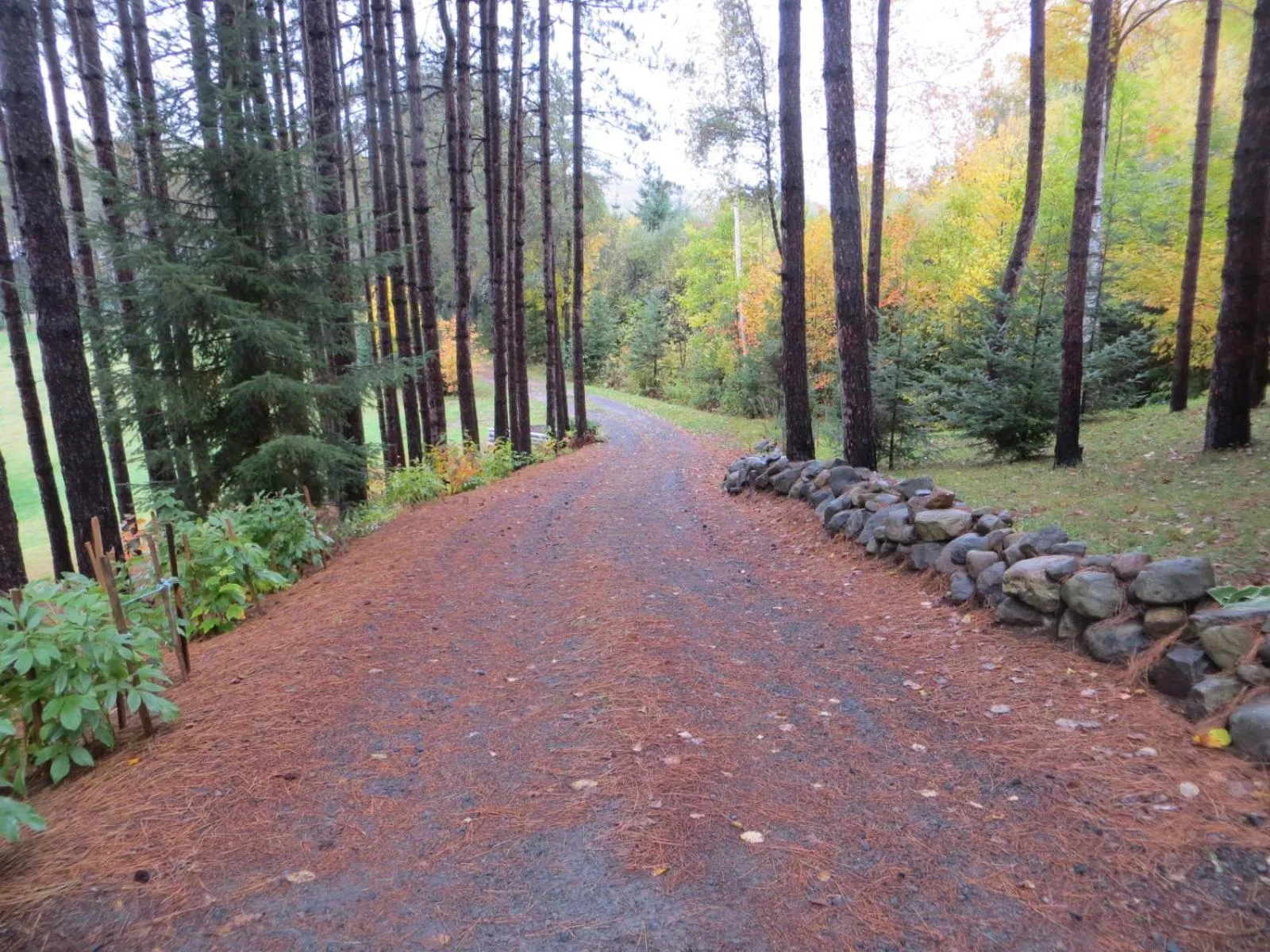 La maison sous les arbres