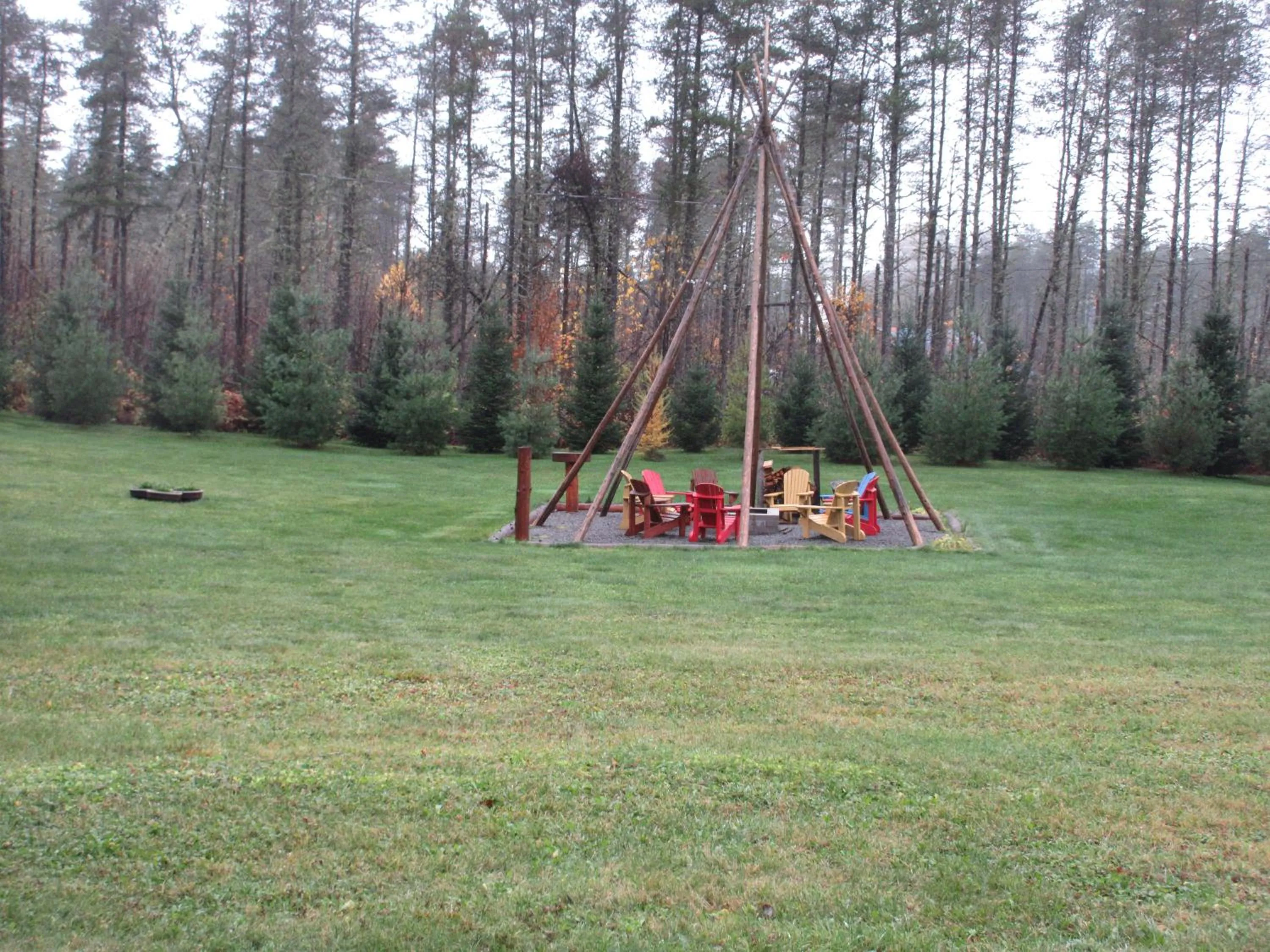 La maison sous les arbres