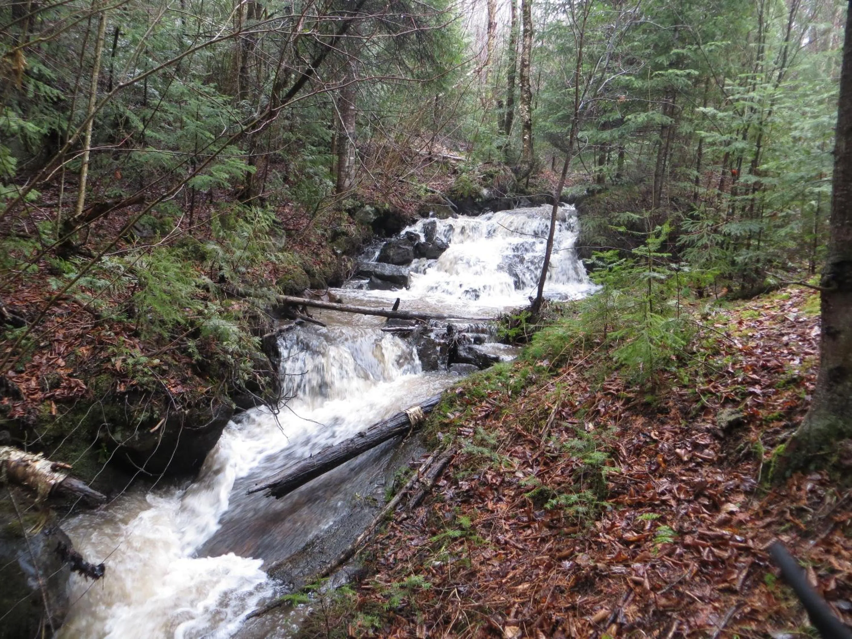 Property building in La maison sous les arbres