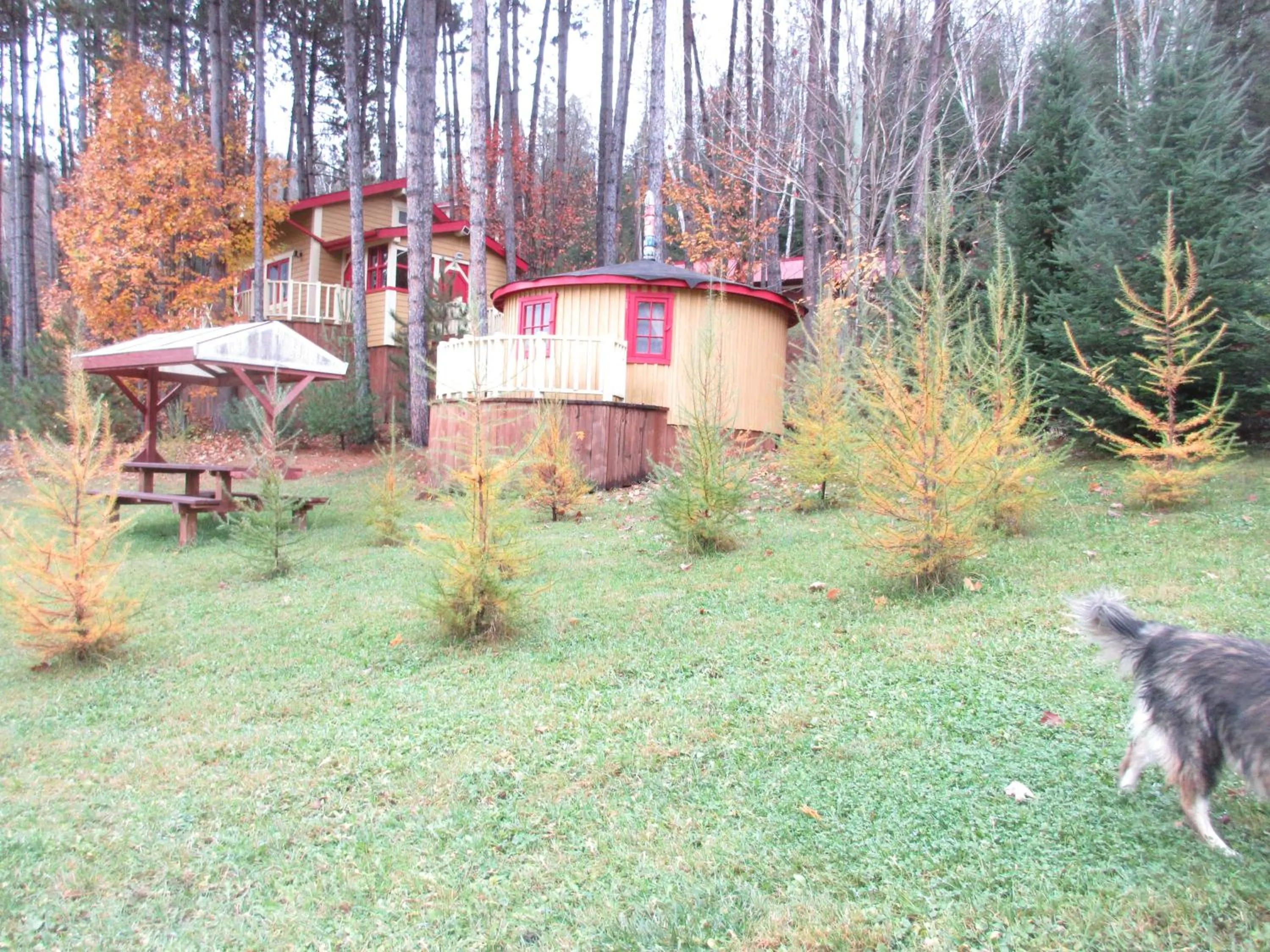 La maison sous les arbres