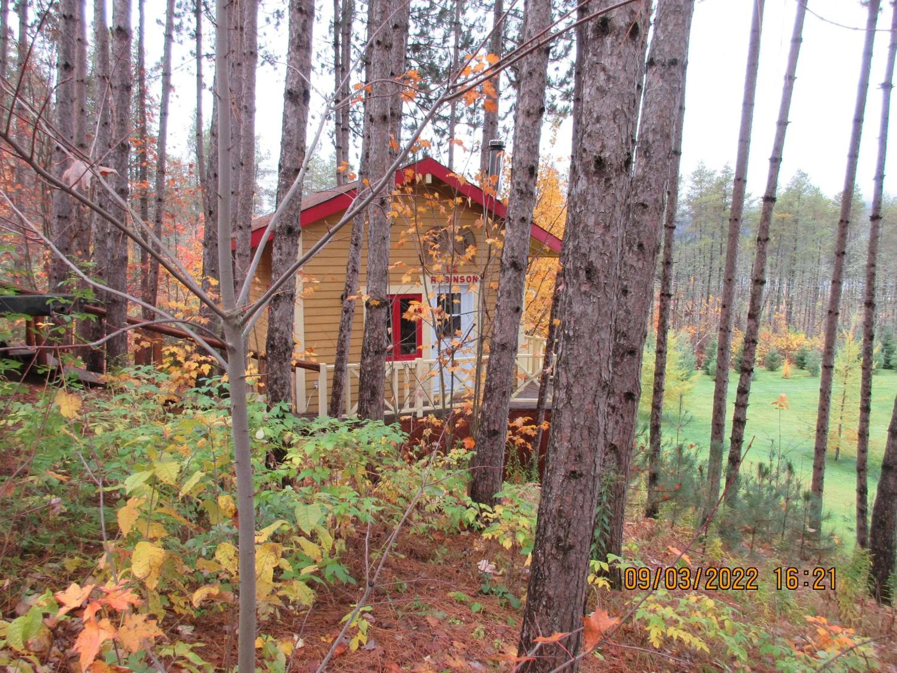 La maison sous les arbres