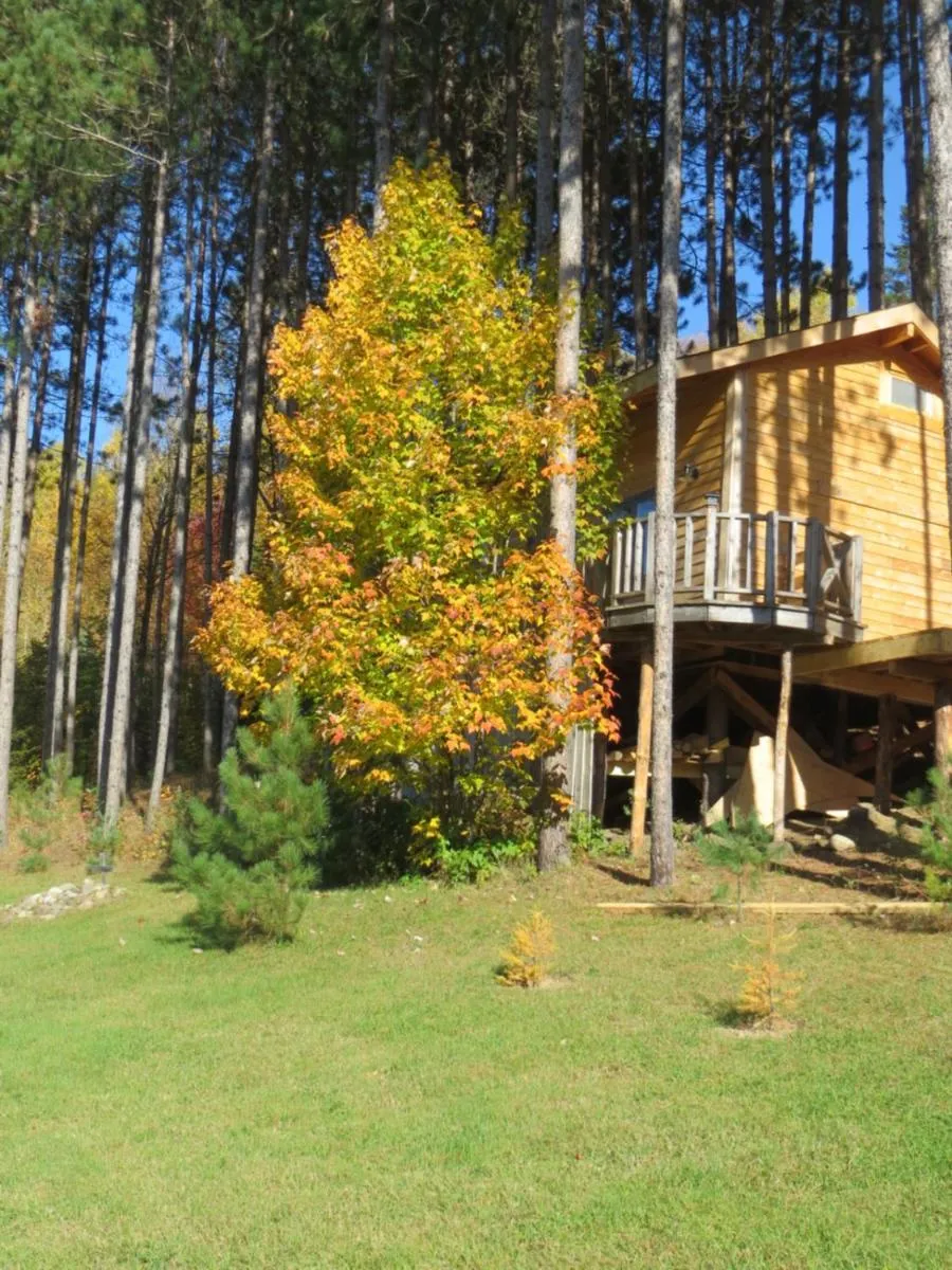 Property building in La maison sous les arbres