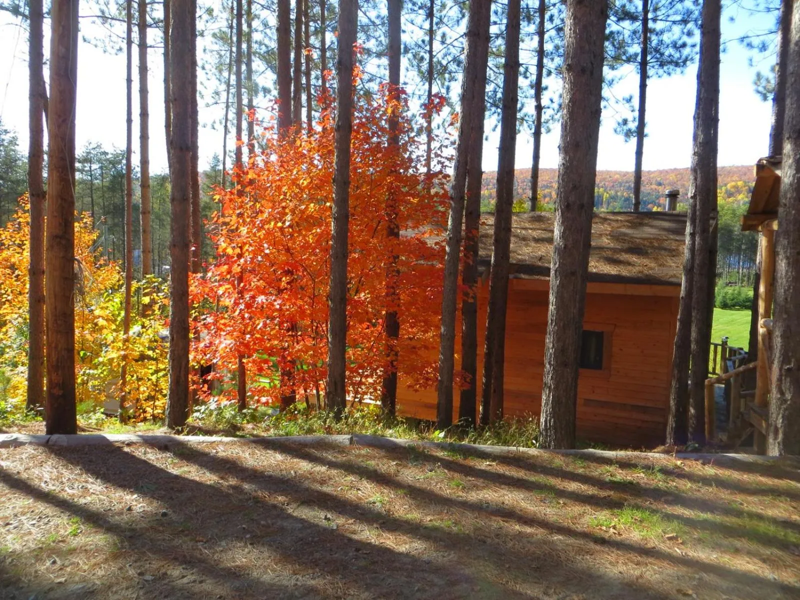 Facade/entrance in La maison sous les arbres