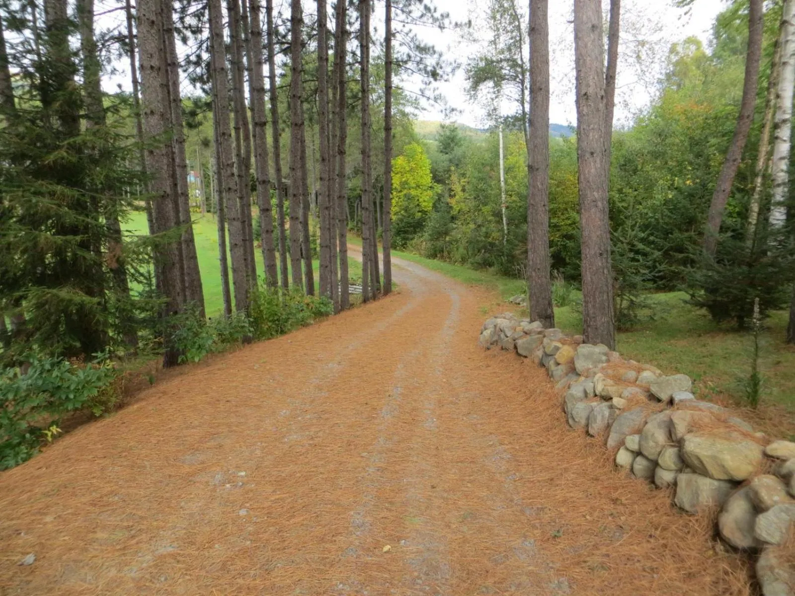 La maison sous les arbres