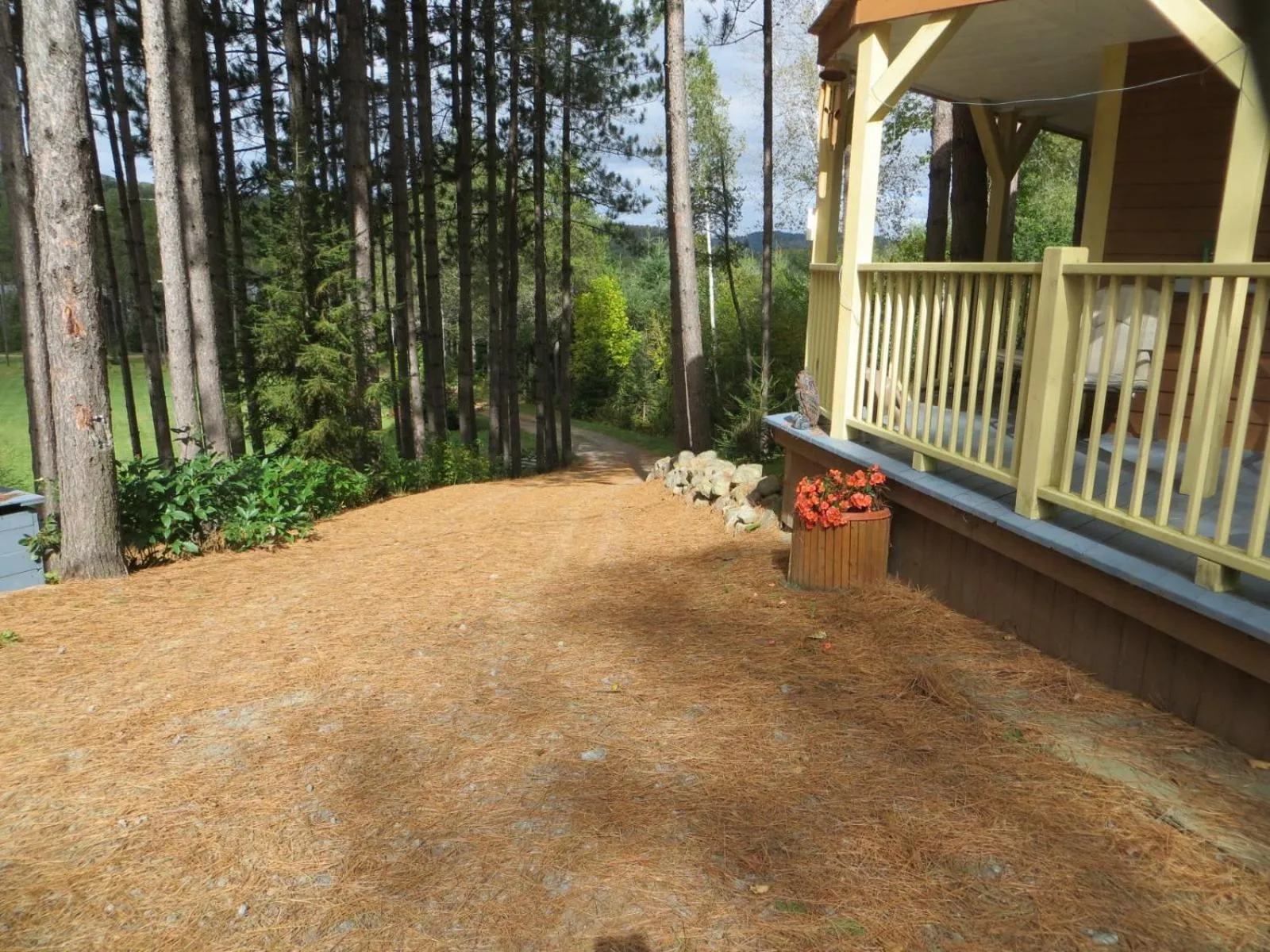 La maison sous les arbres