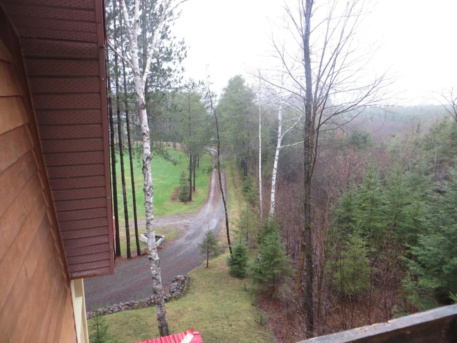 La maison sous les arbres