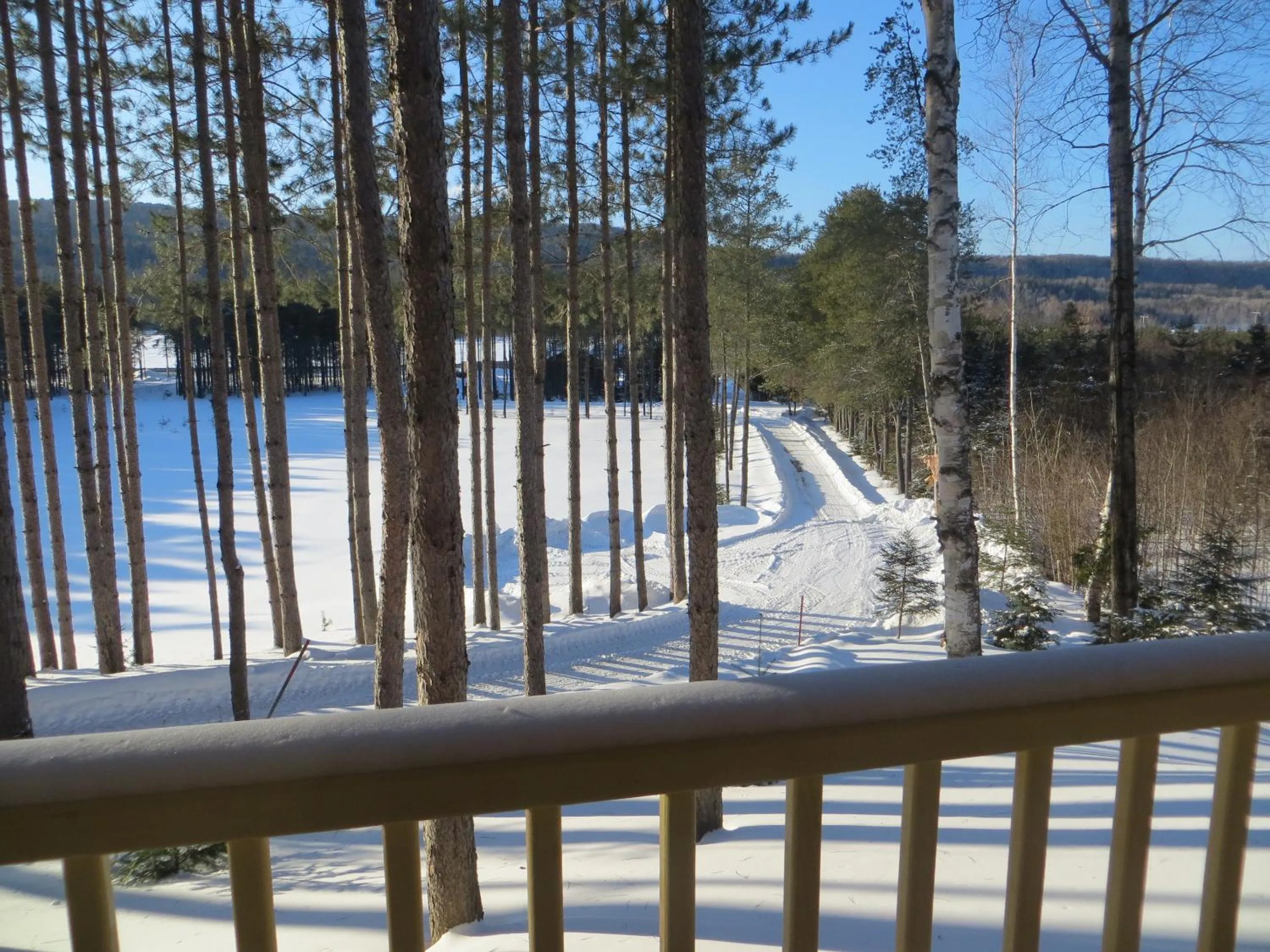 La maison sous les arbres