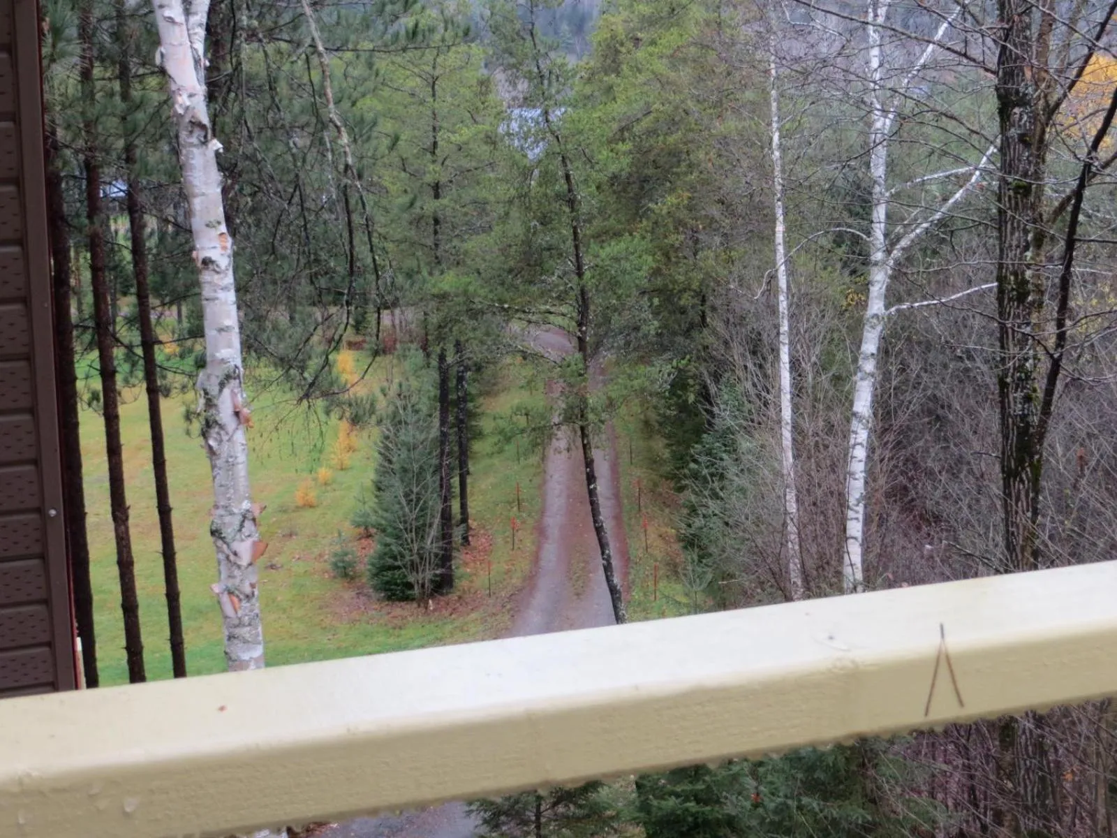 River view in La maison sous les arbres