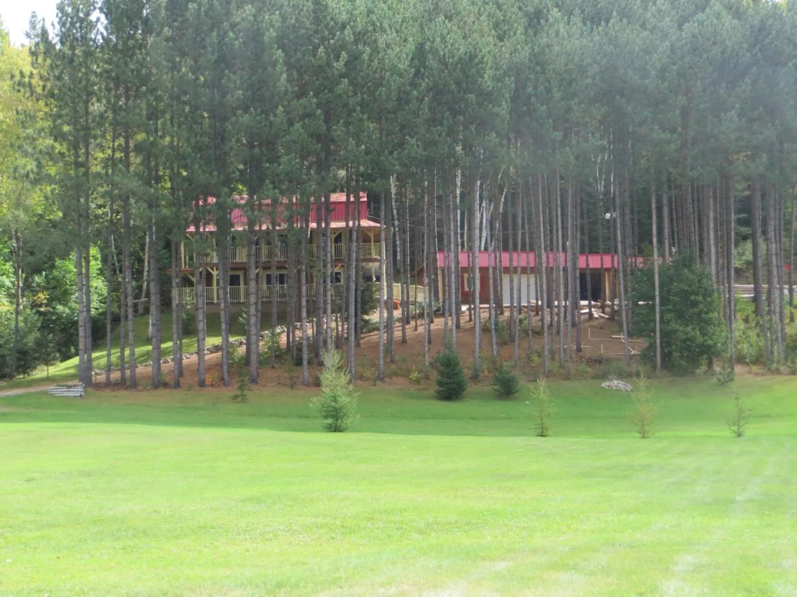 La maison sous les arbres