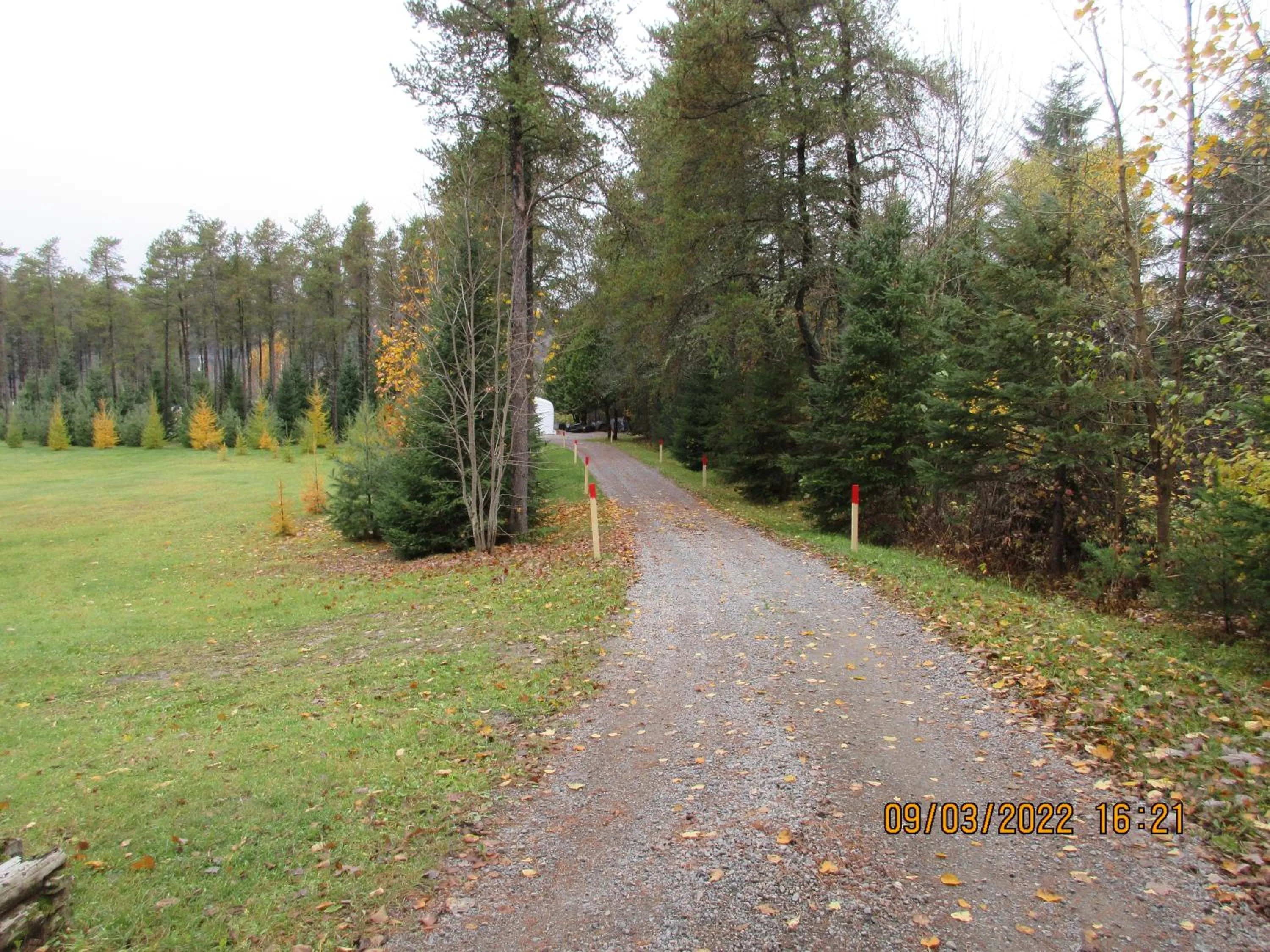 La maison sous les arbres