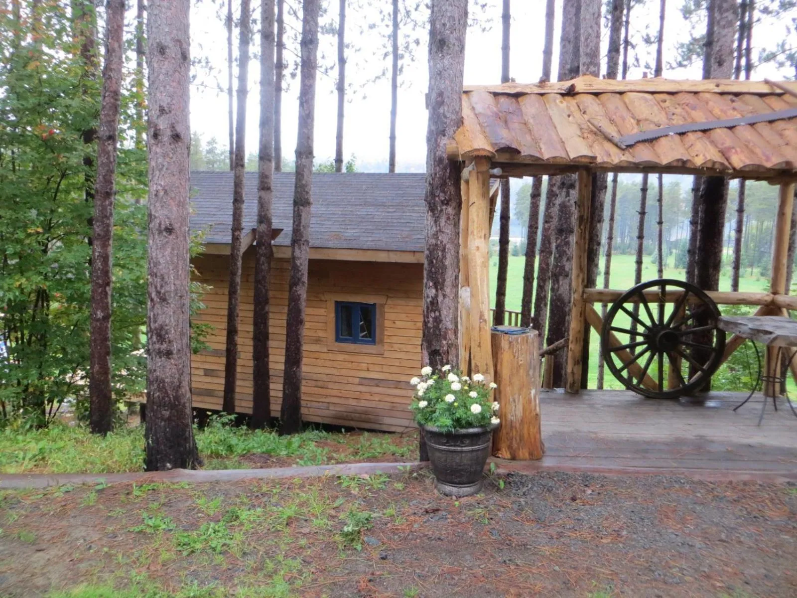 Facade/entrance in La maison sous les arbres