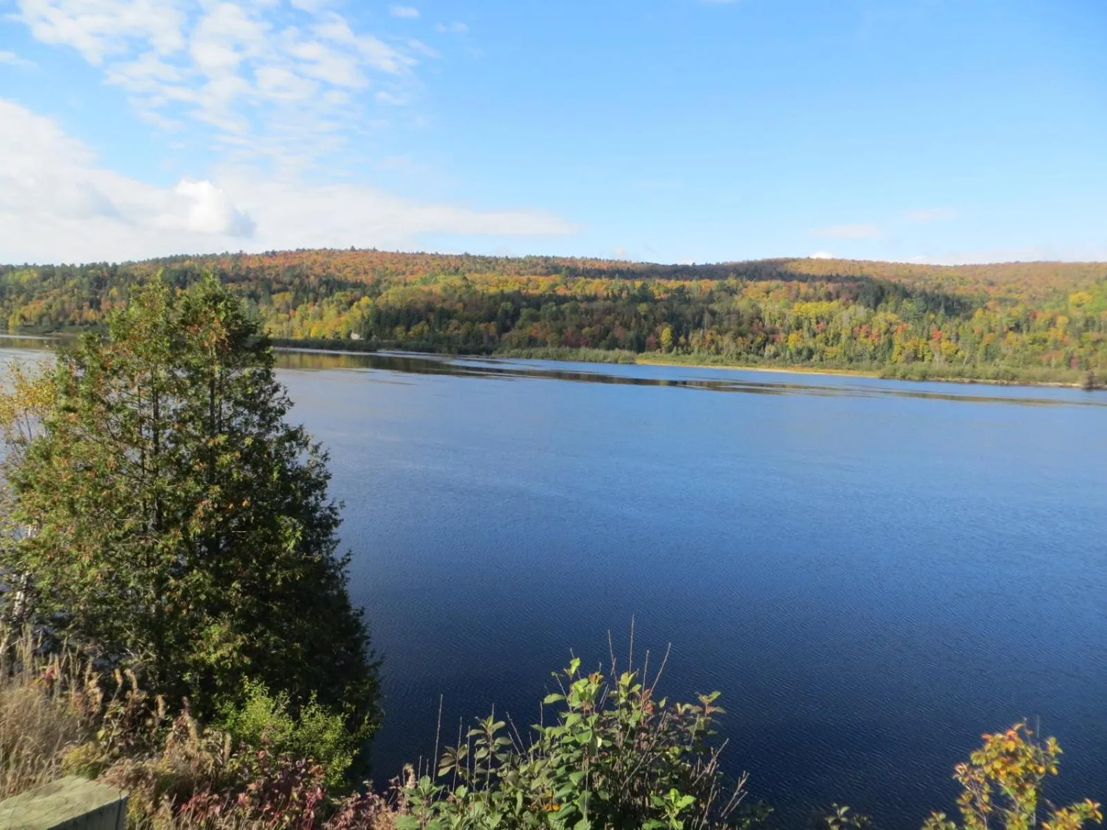 River view in La maison sous les arbres