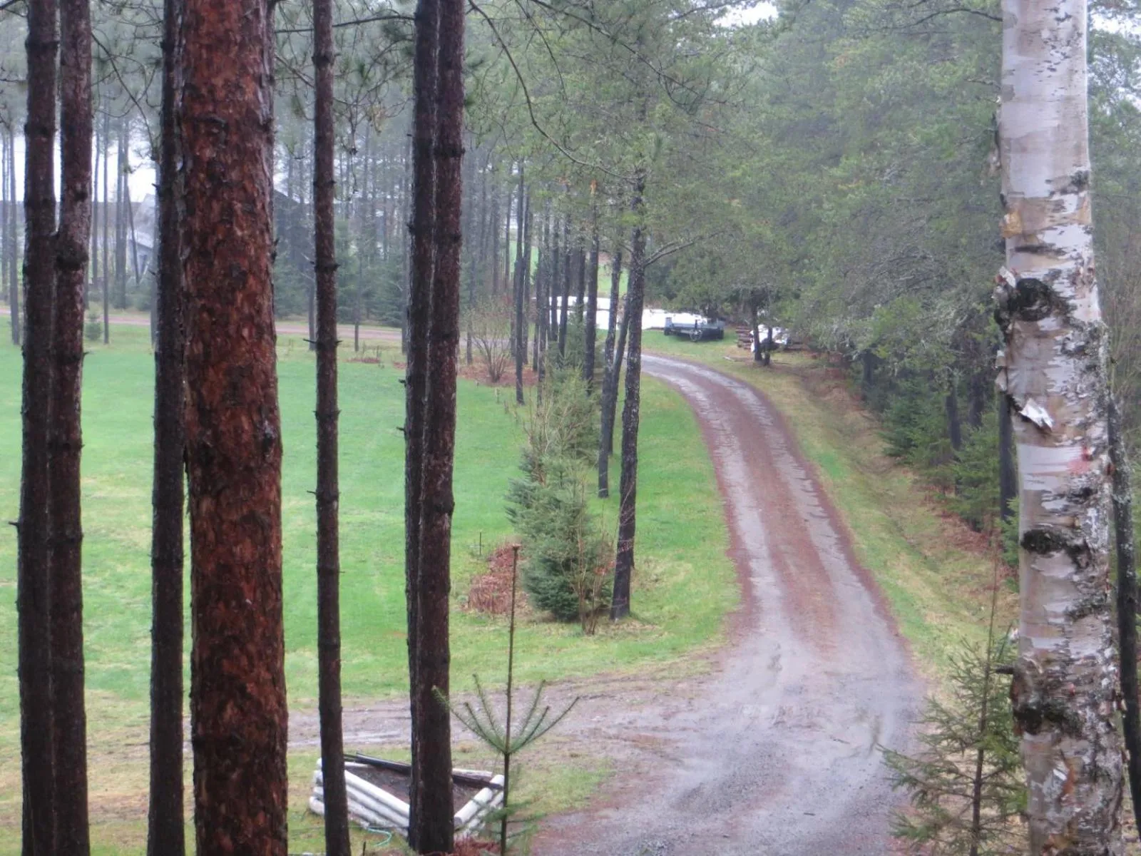 Natural landscape in La maison sous les arbres