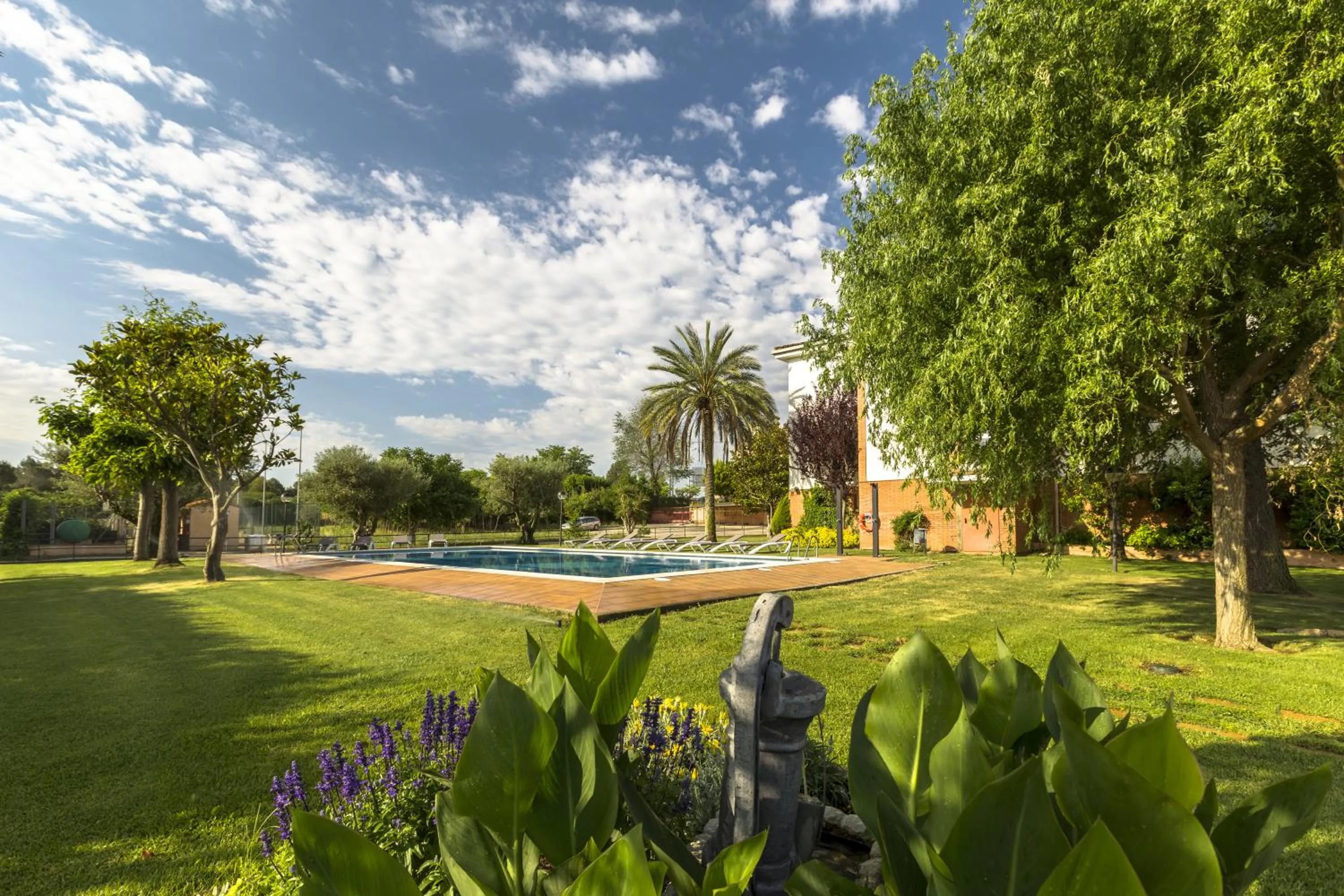 Garden in Hotel Sausa