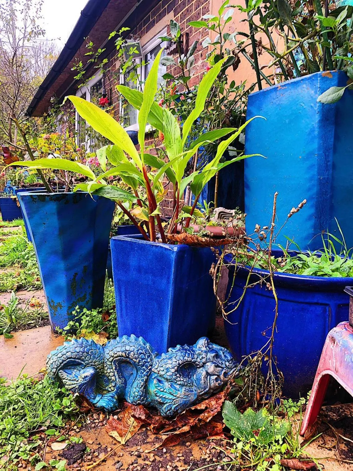 Garden in Caspian Hotel