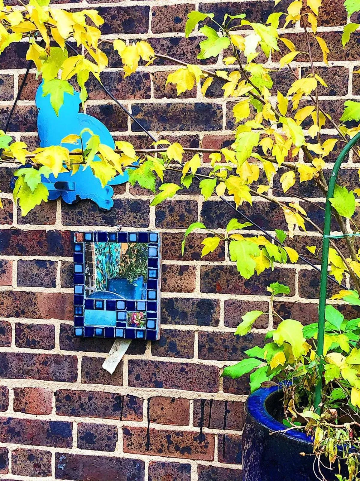 Garden in Caspian Hotel