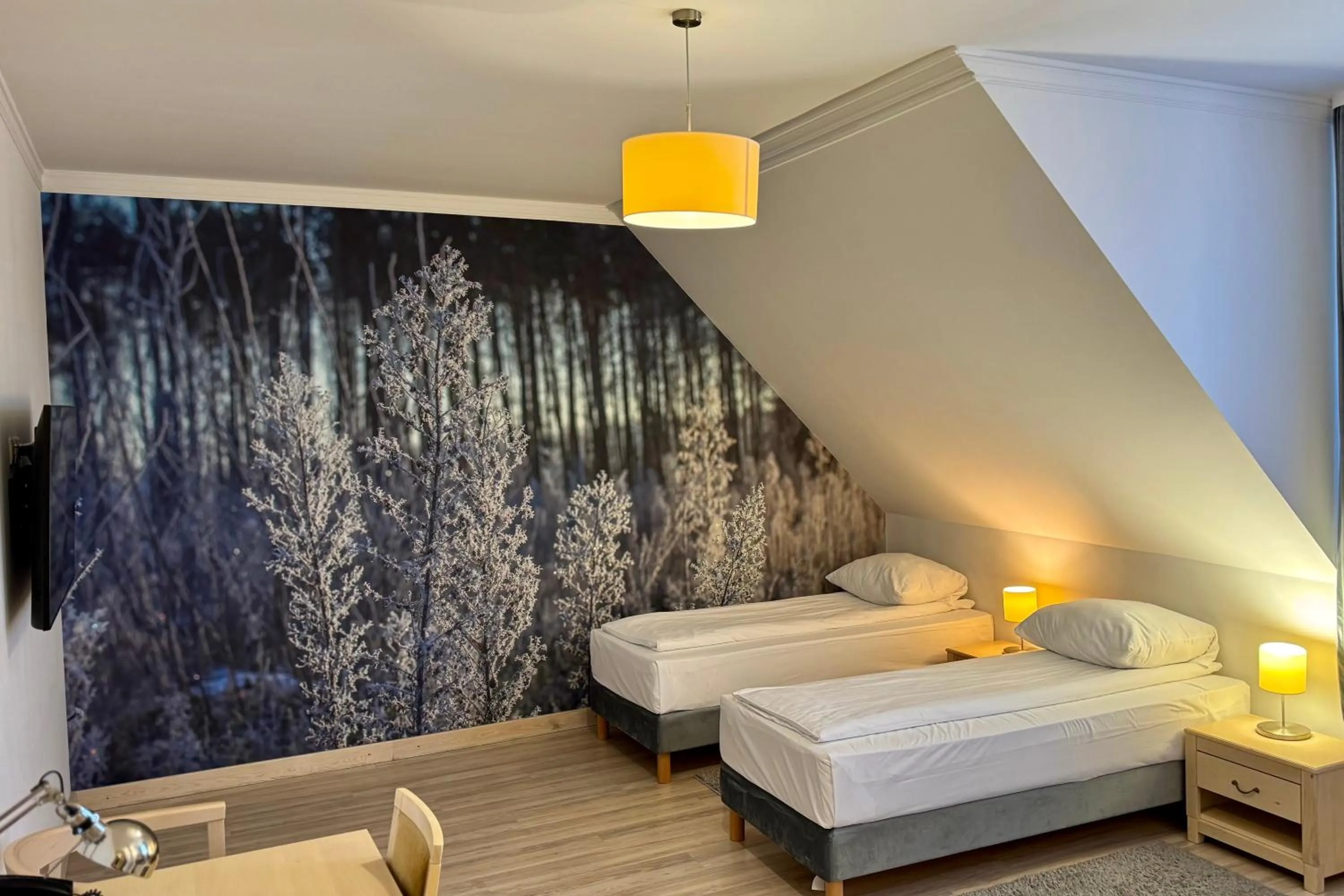 Photo of the whole room, Bed in Hotel Barczyzna Medical Spa