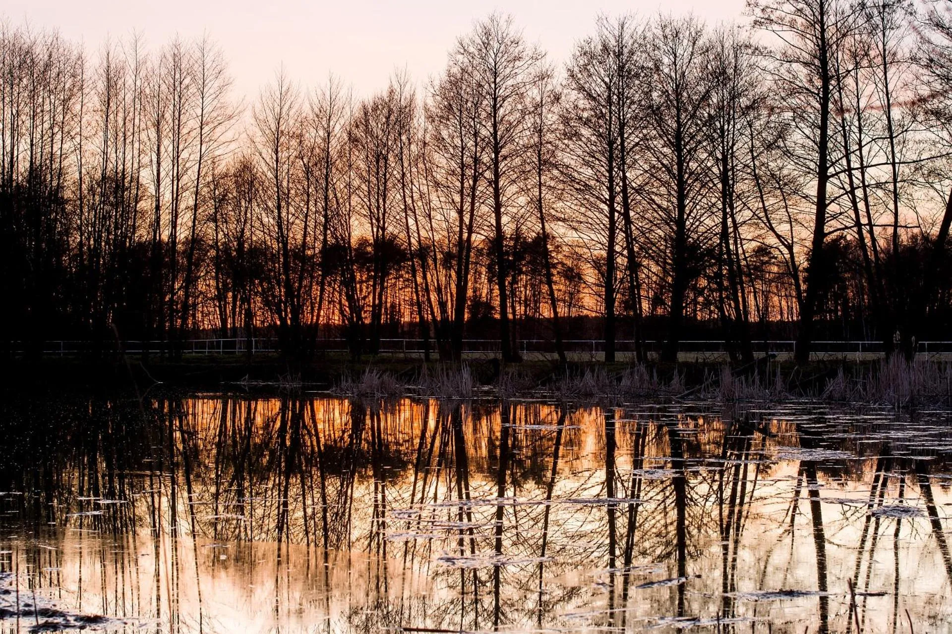 Natural landscape in Hotel Barczyzna Medical Spa